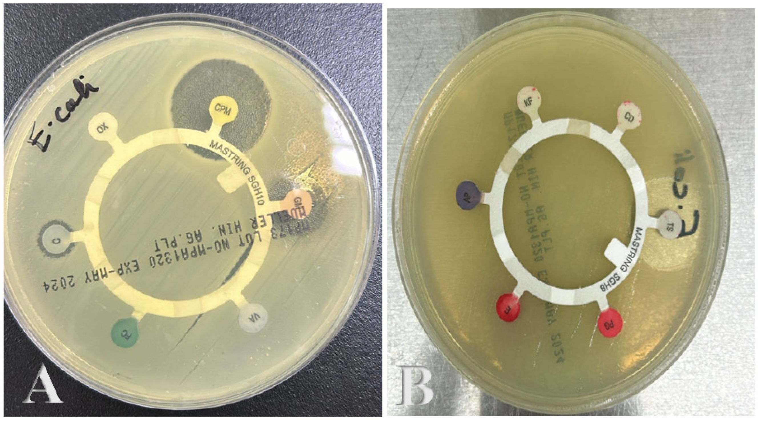 Polymers 17 00269 g006 Polymers 17 00269 g006