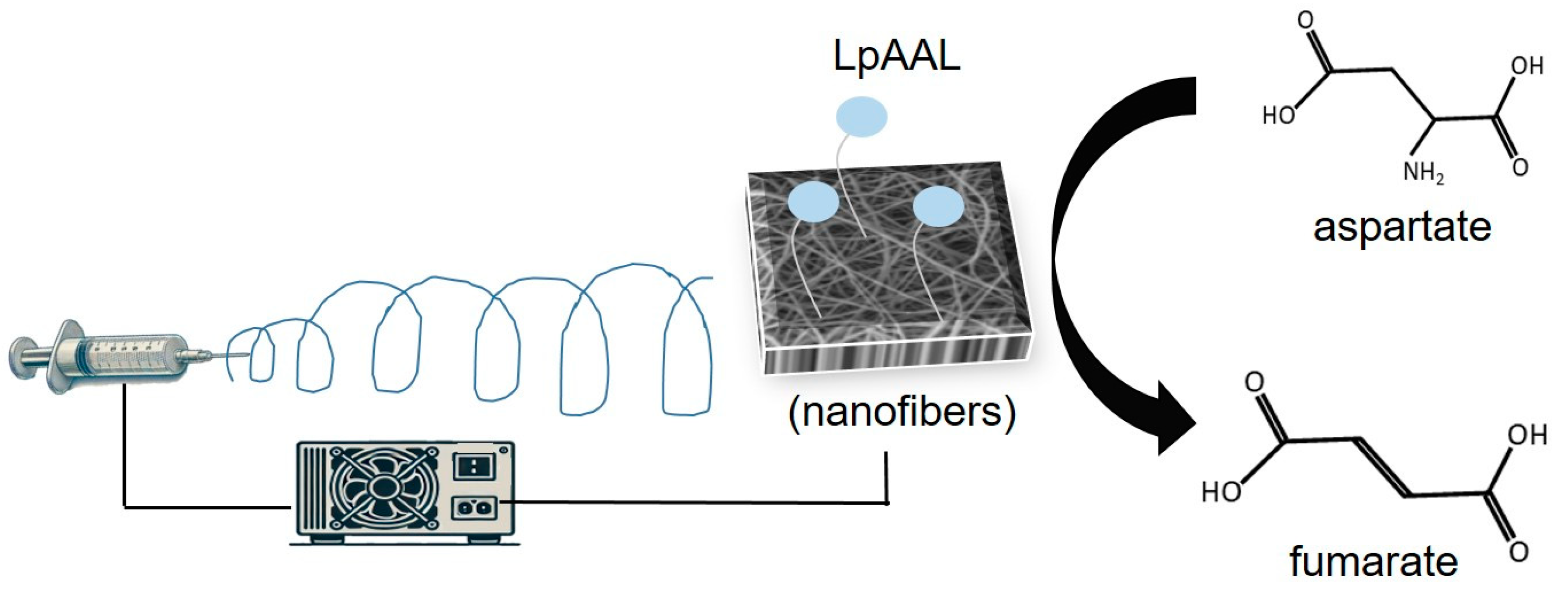 Polymers 17 00270 g001