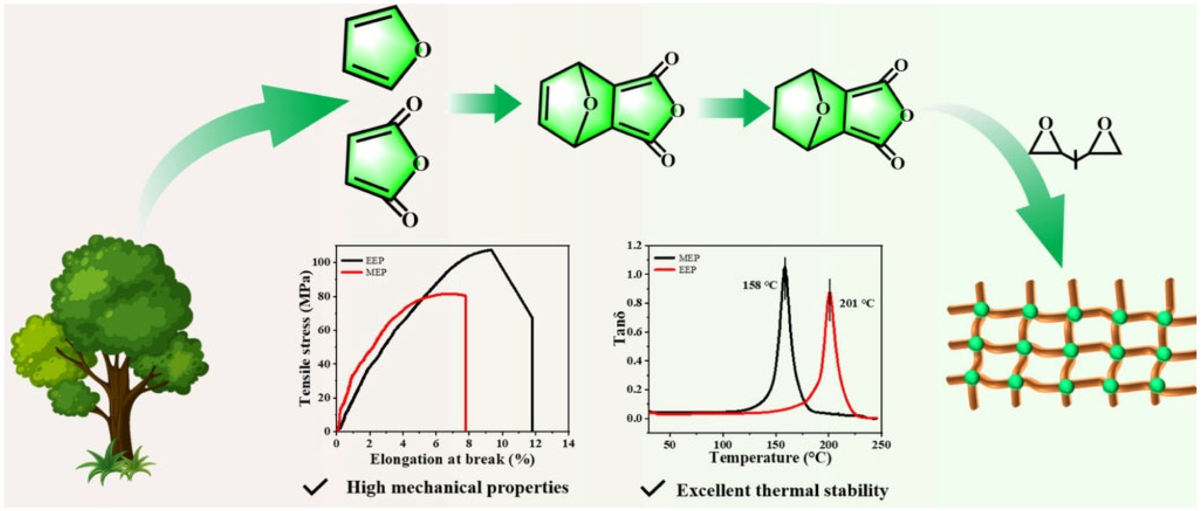 Polymers 17 00271 g001