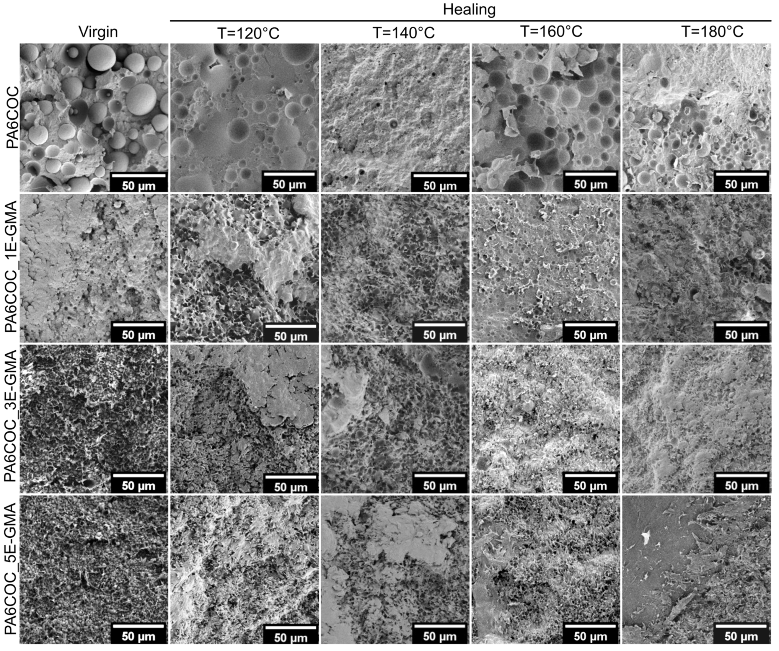 Polymers 17 00280 g006