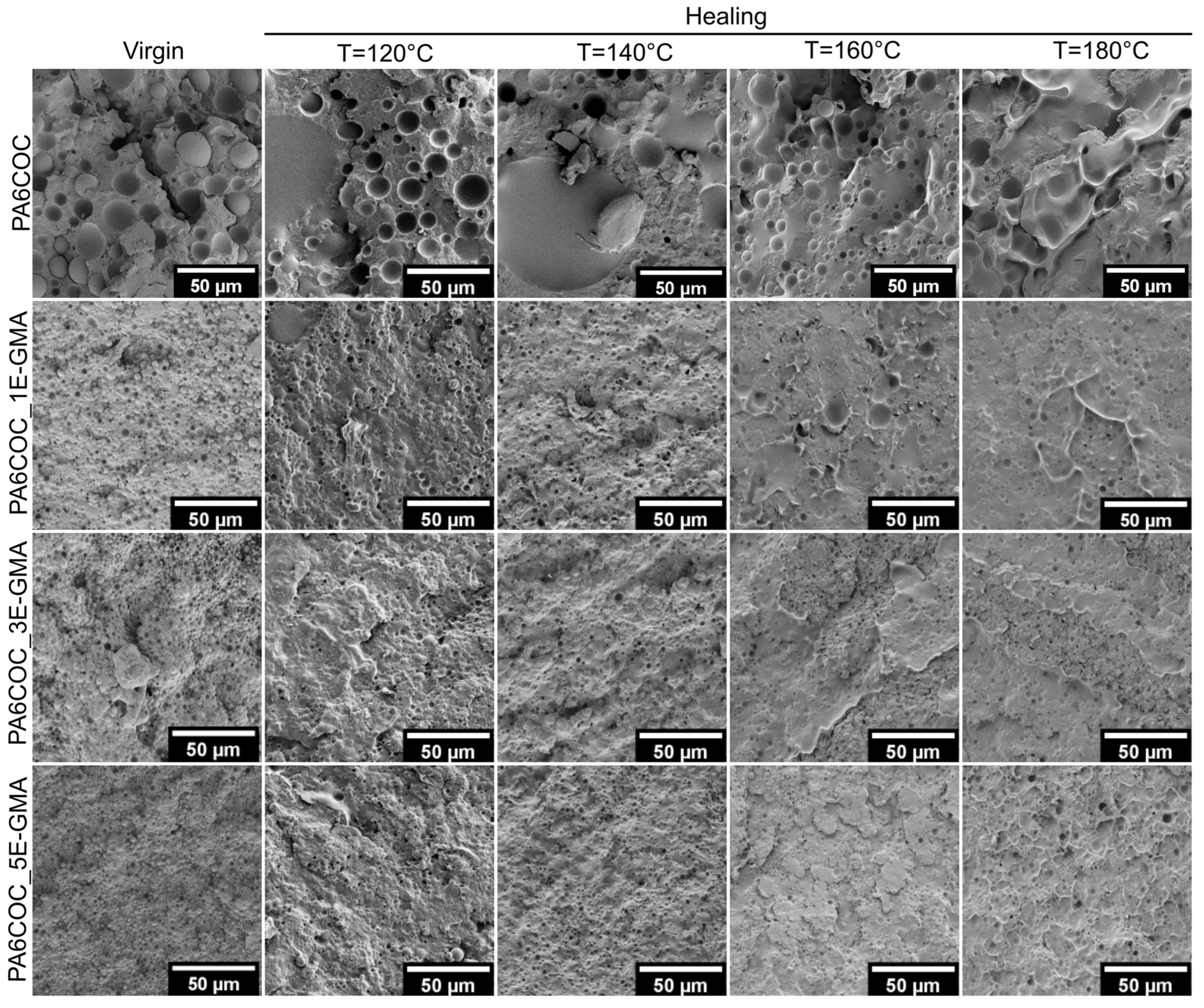Polymers 17 00280 g007