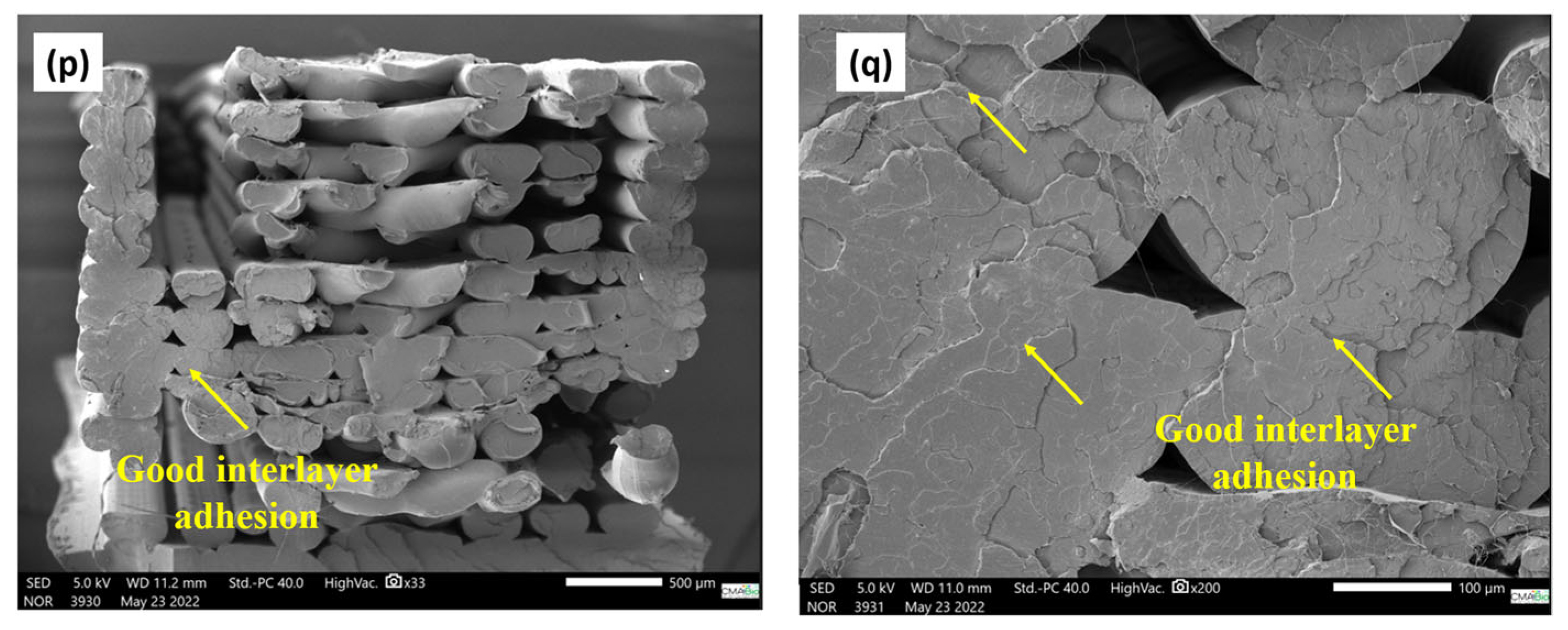 Polymers 17 00283 g010c
