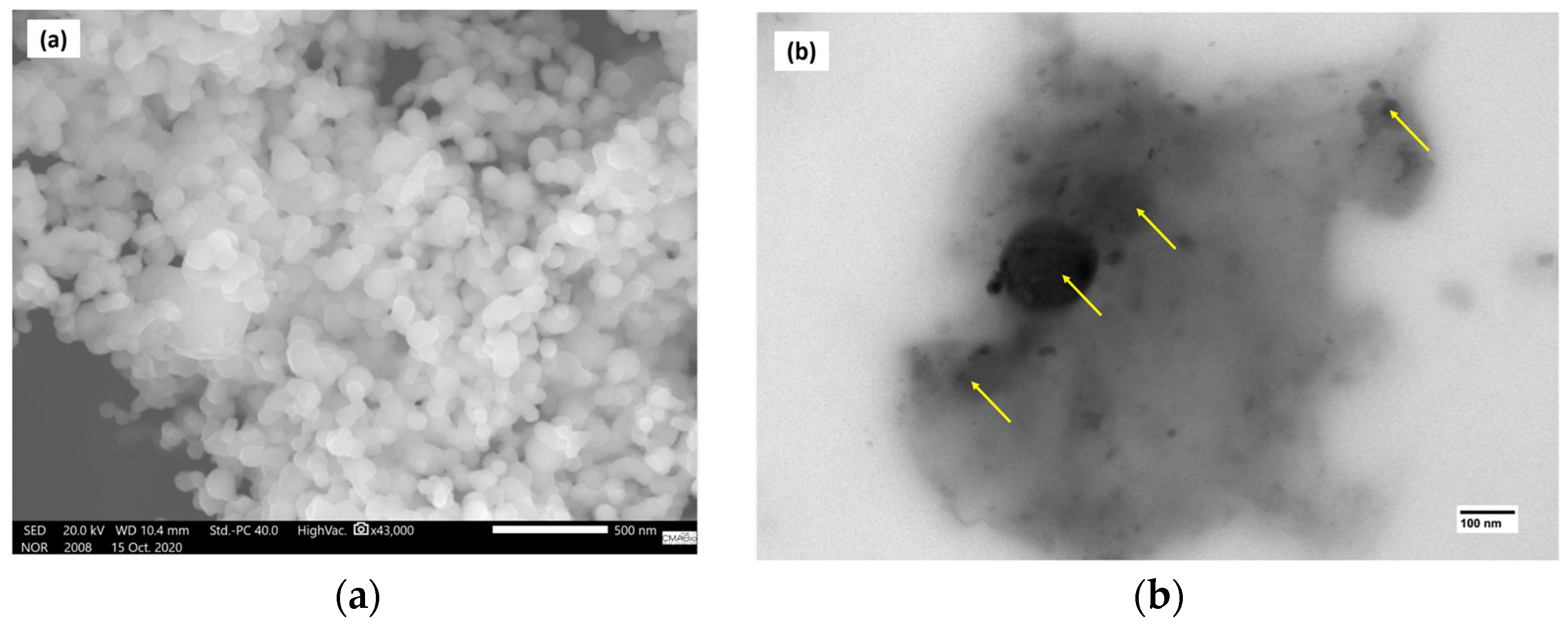 Polymers 17 00283 g012