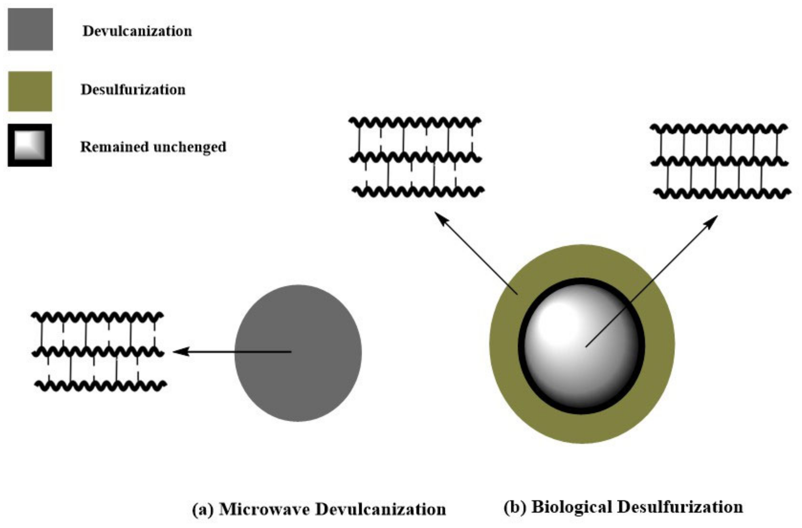 Polymers 17 00285 g008