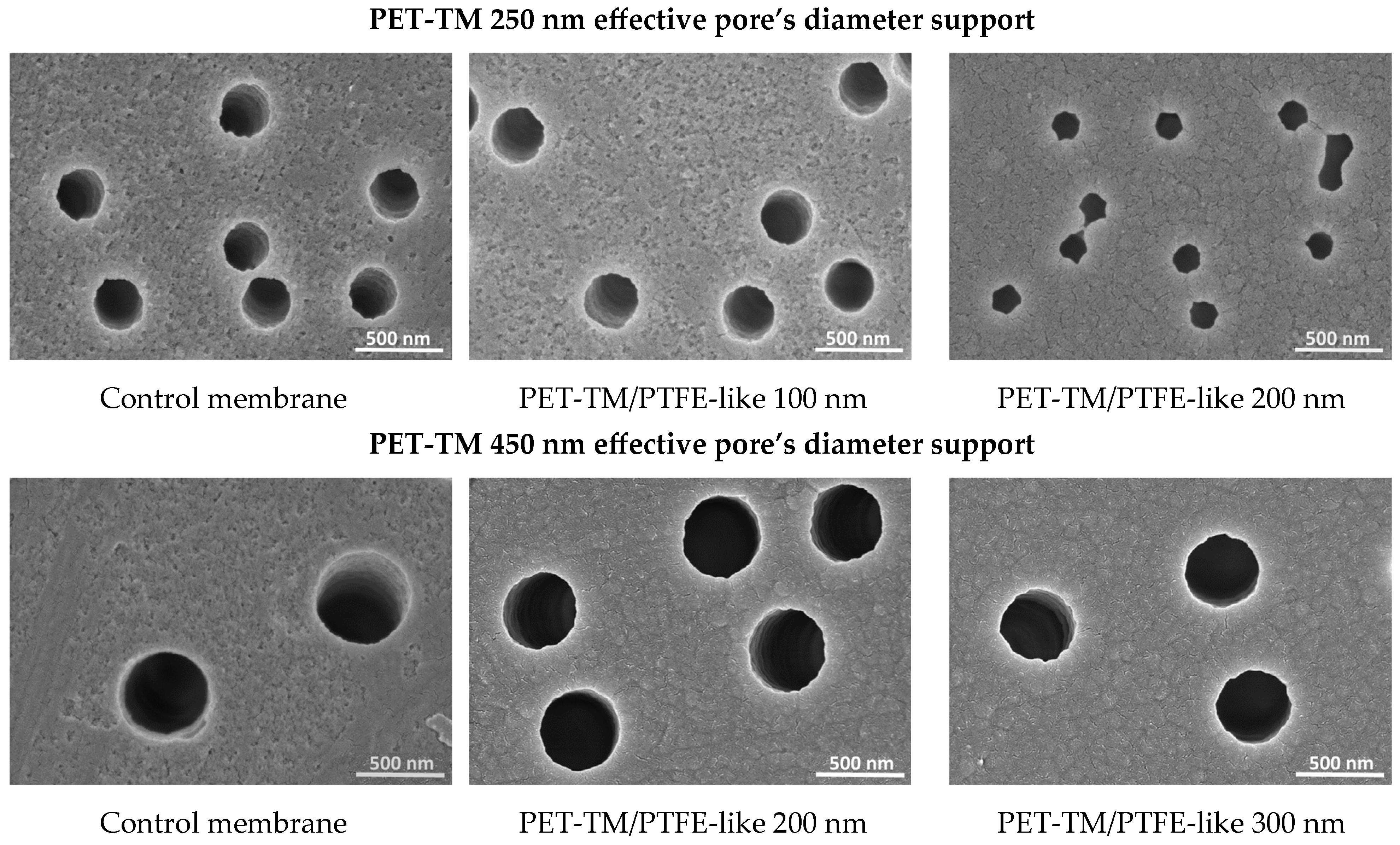 Polymers 17 00290 g003