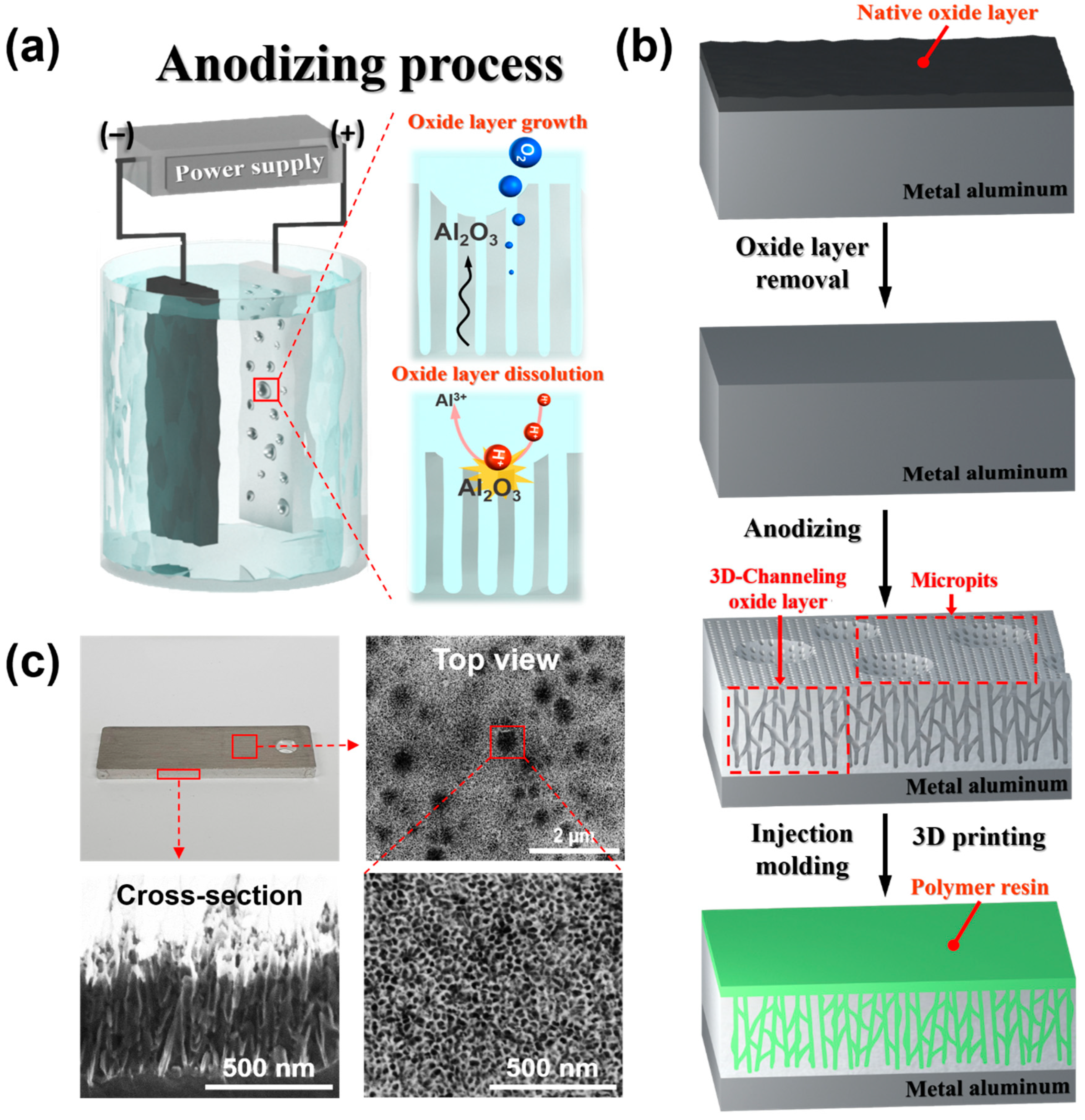 Polymers 17 00299 g001 Polymers 17 00299 g001