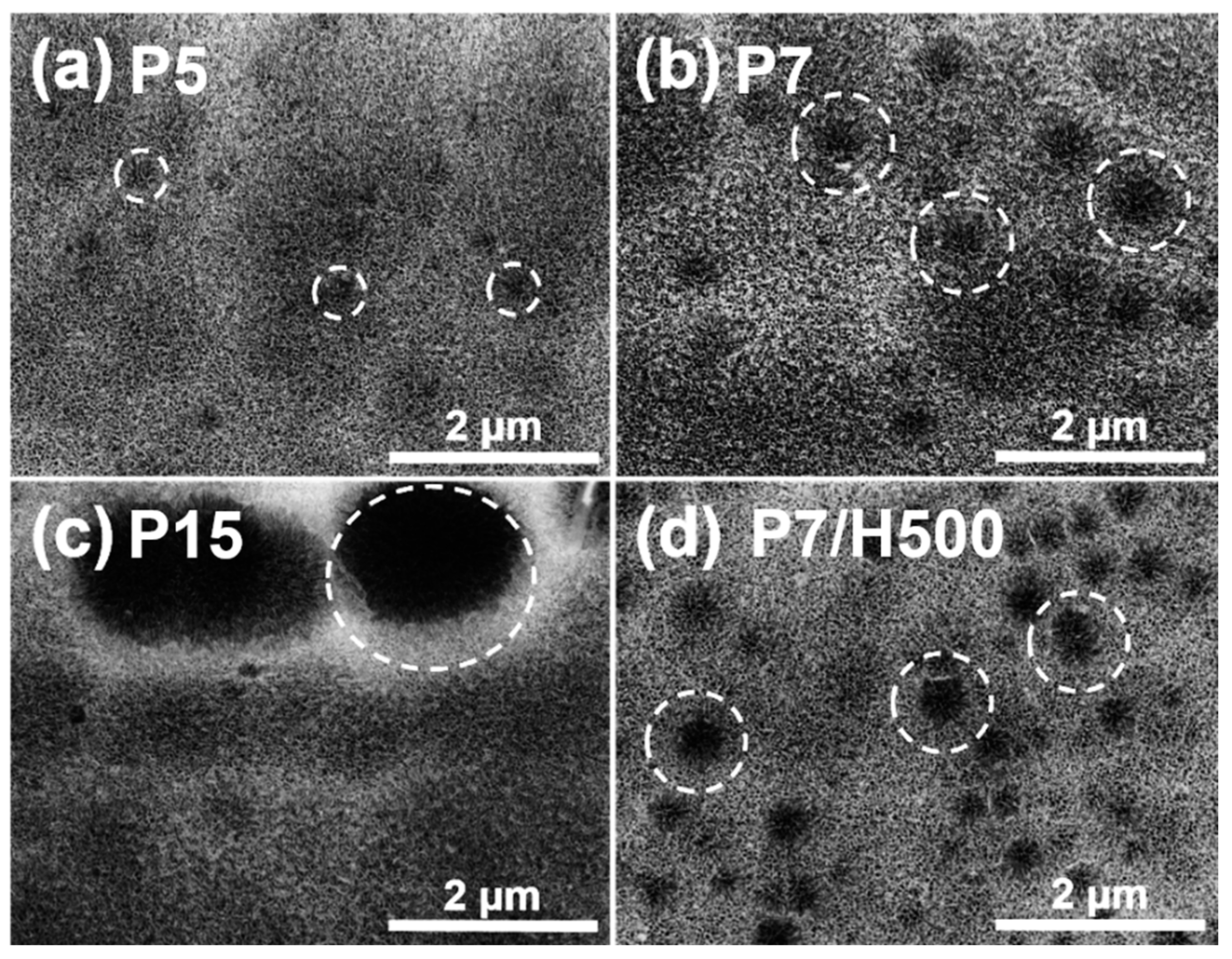 Polymers 17 00299 g002 Polymers 17 00299 g002