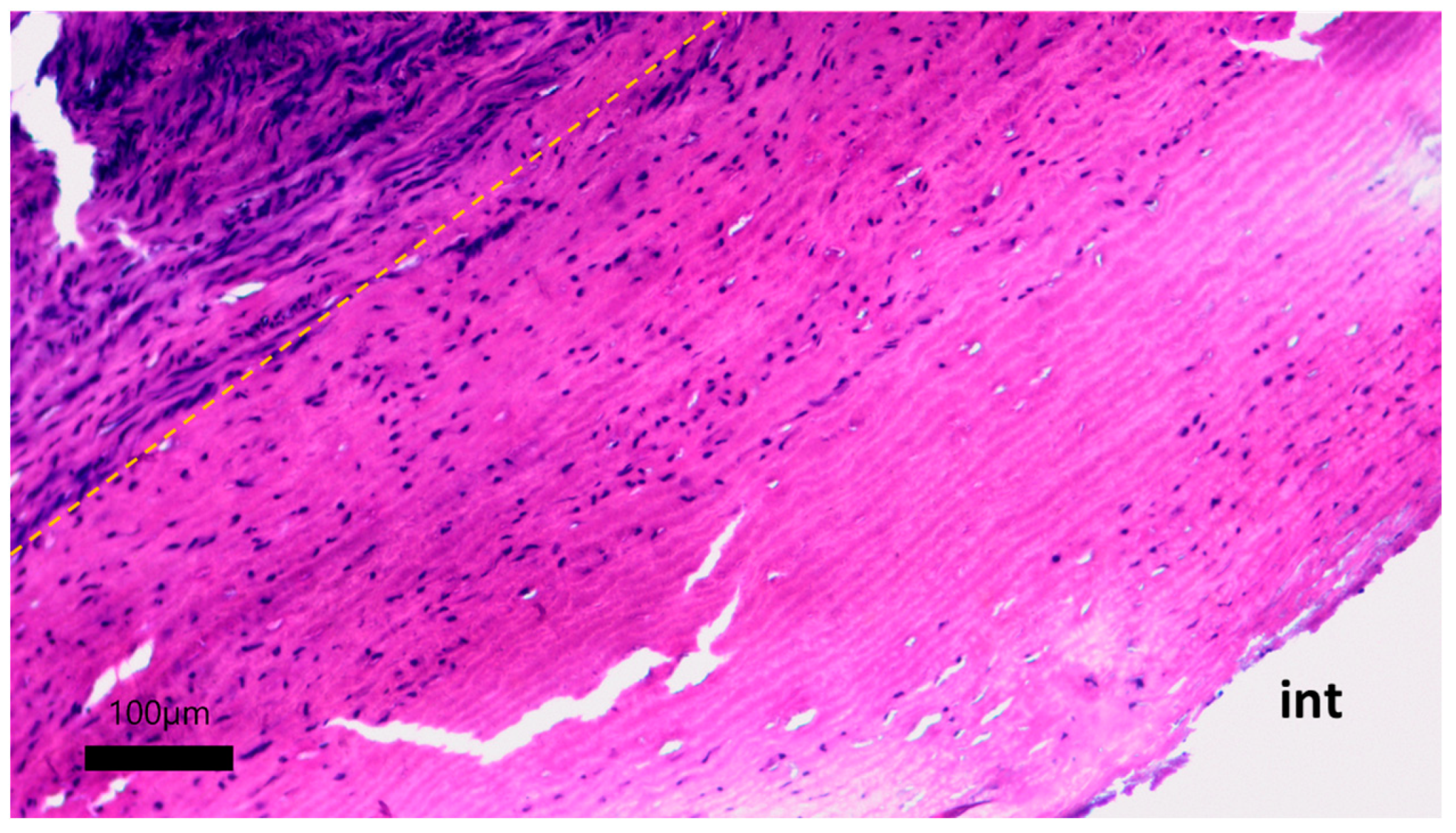 Polymers 17 00305 g012