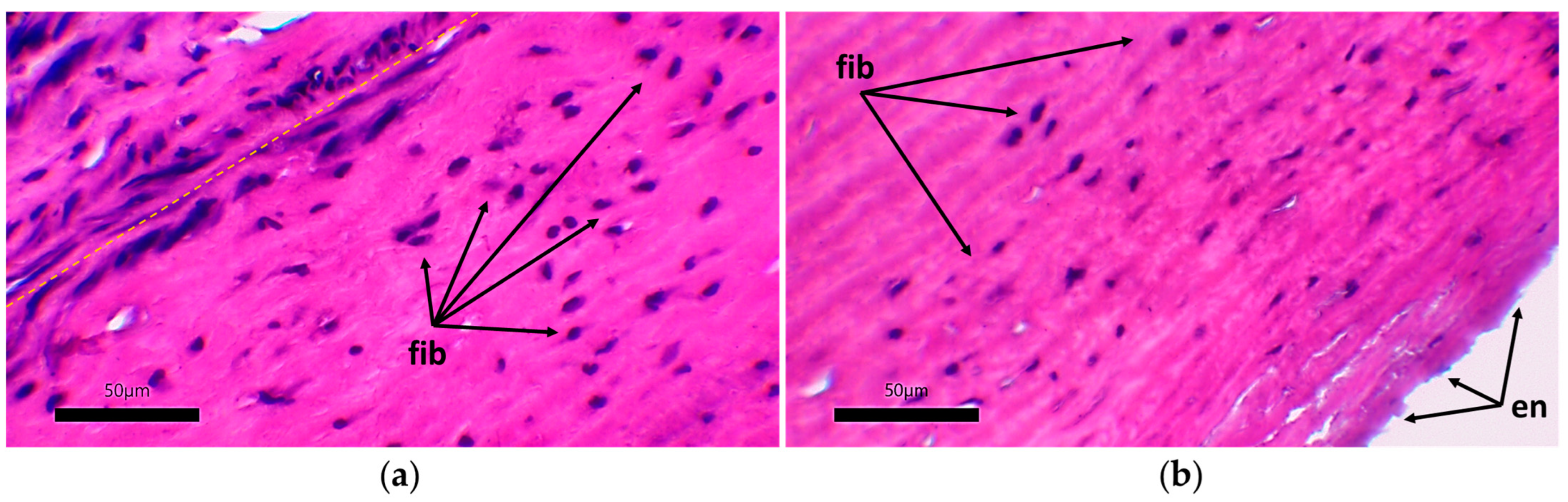 Polymers 17 00305 g013