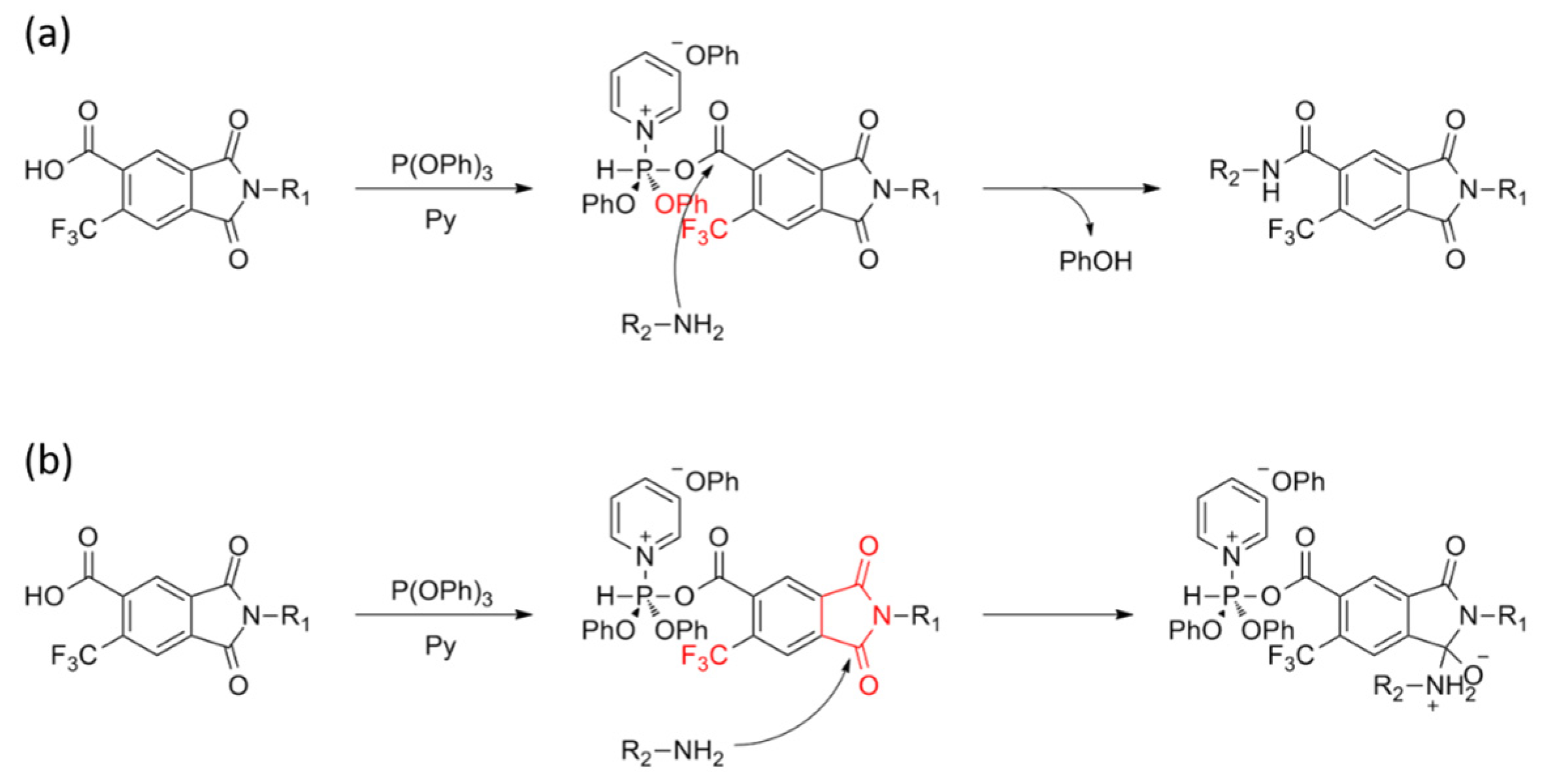 Polymers 17 00309 sch004 Polymers 17 00309 sch004