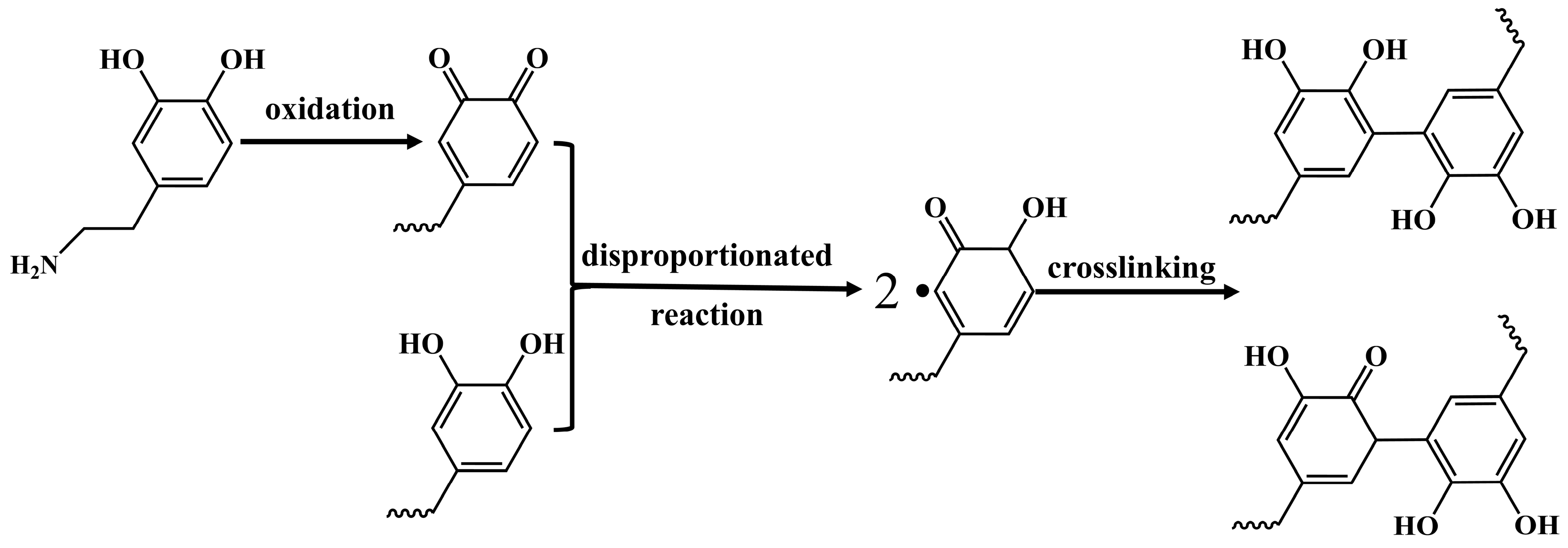 Polymers 17 00311 sch002
