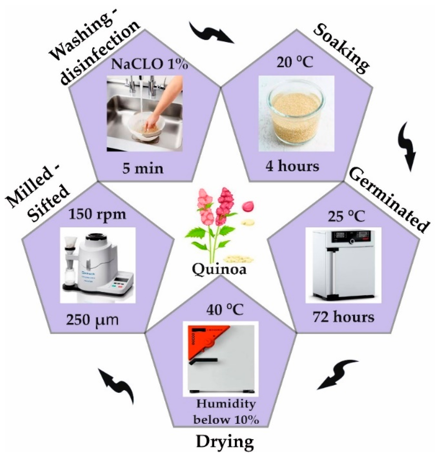 Polymers 17 00312 g001