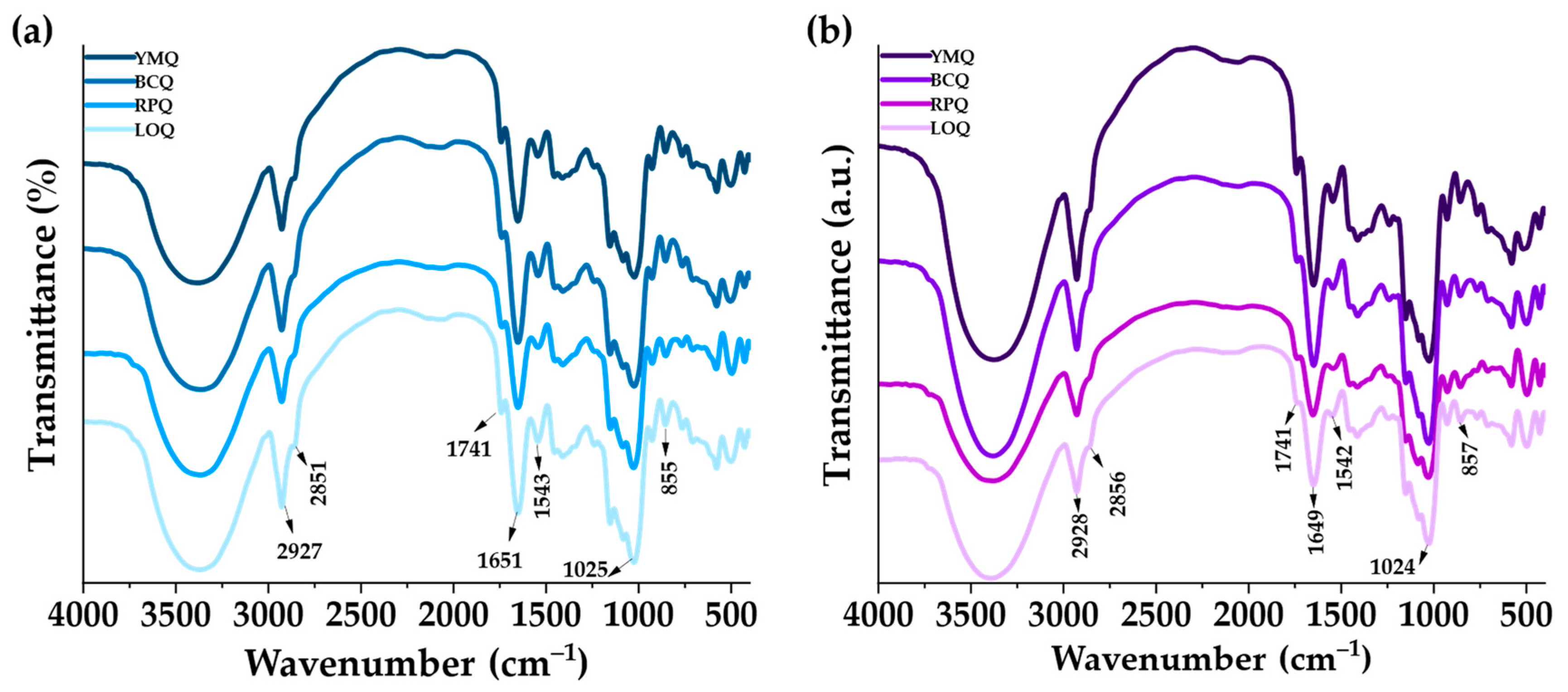 Polymers 17 00312 g004