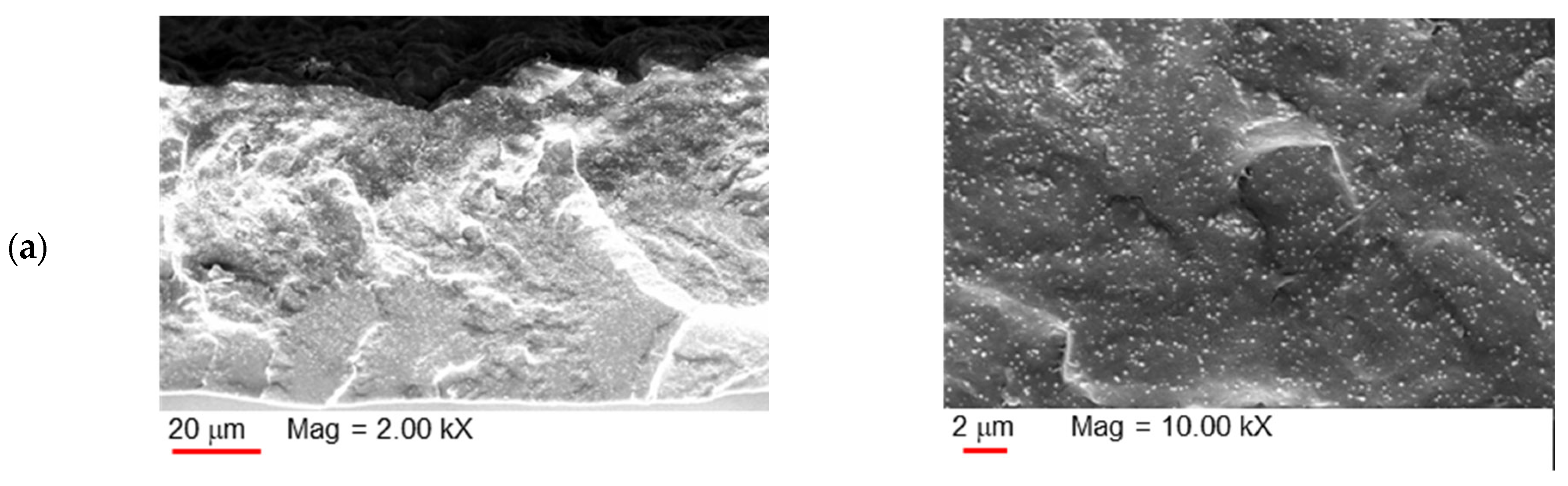 Polymers 17 00314 g005a