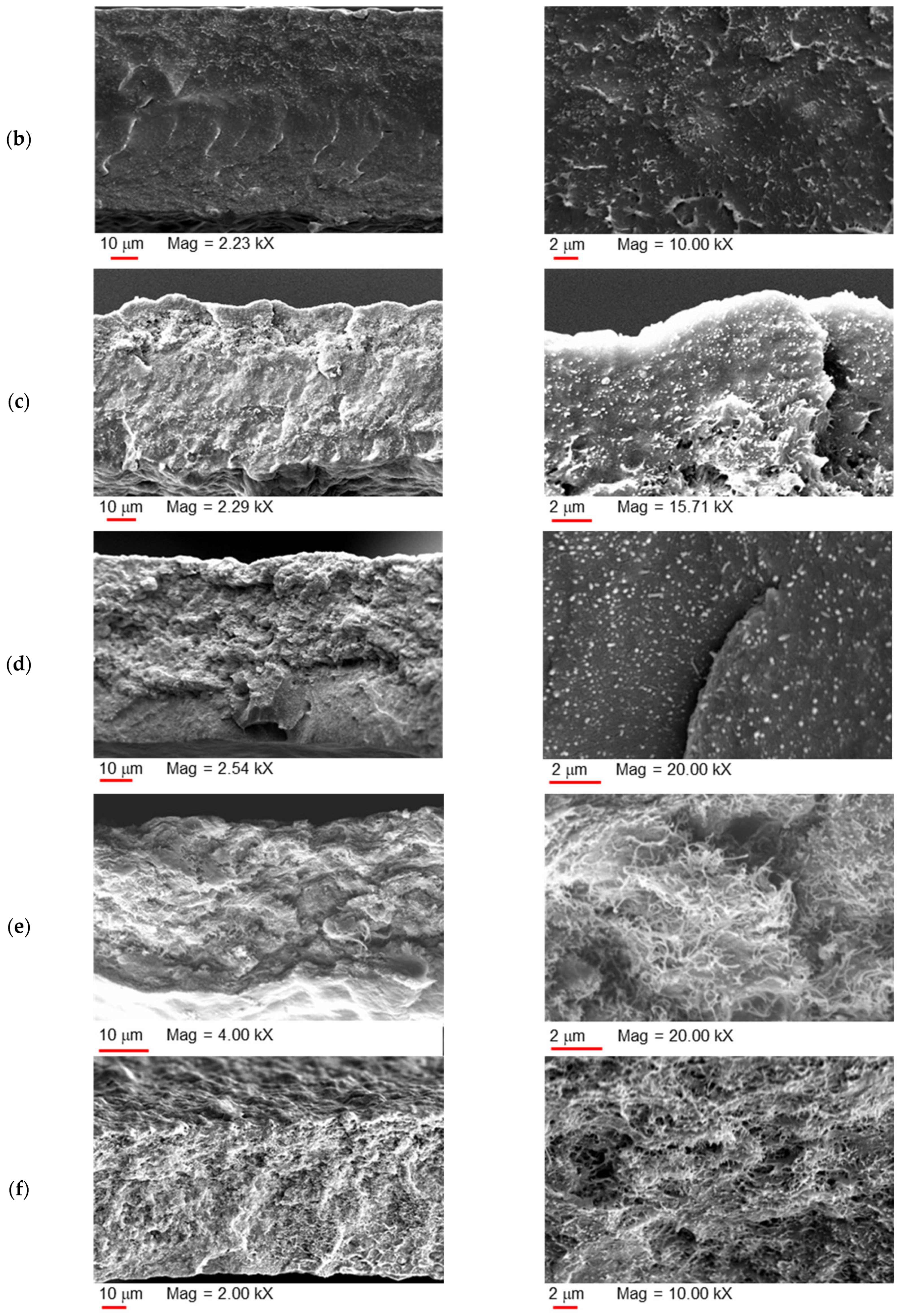 Polymers 17 00314 g005b