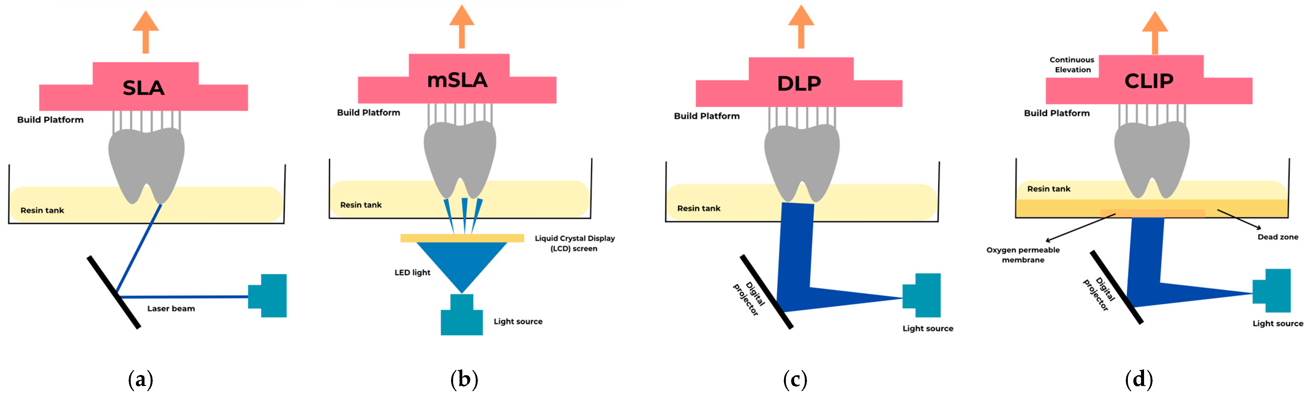 Polymers 17 00316 g003