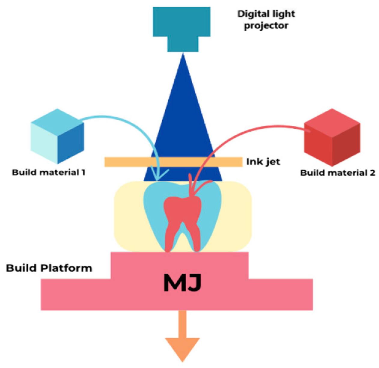 Polymers 17 00316 g004