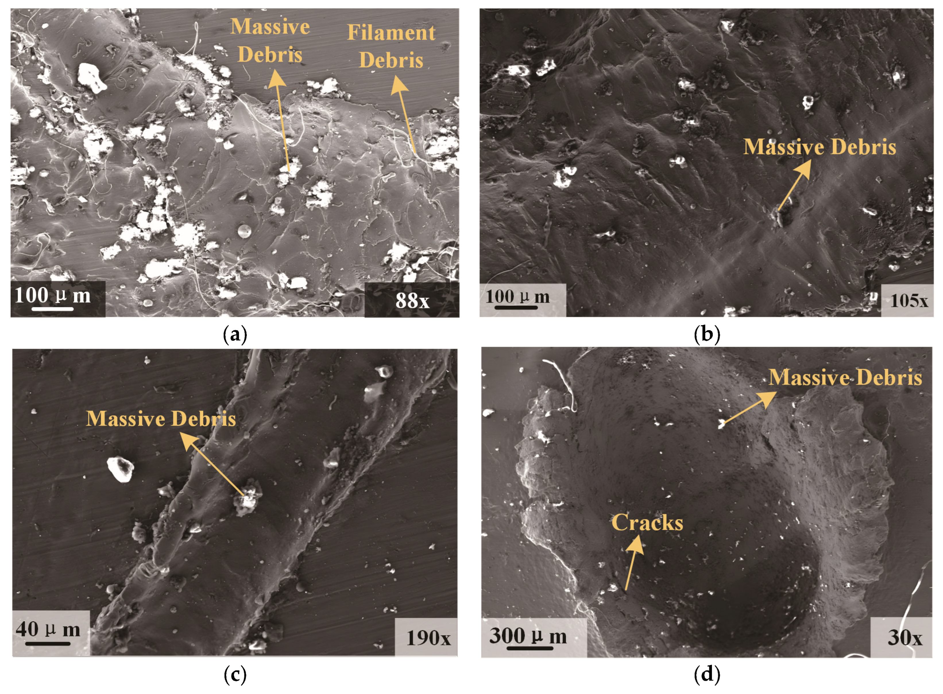 Polymers 17 00319 g012