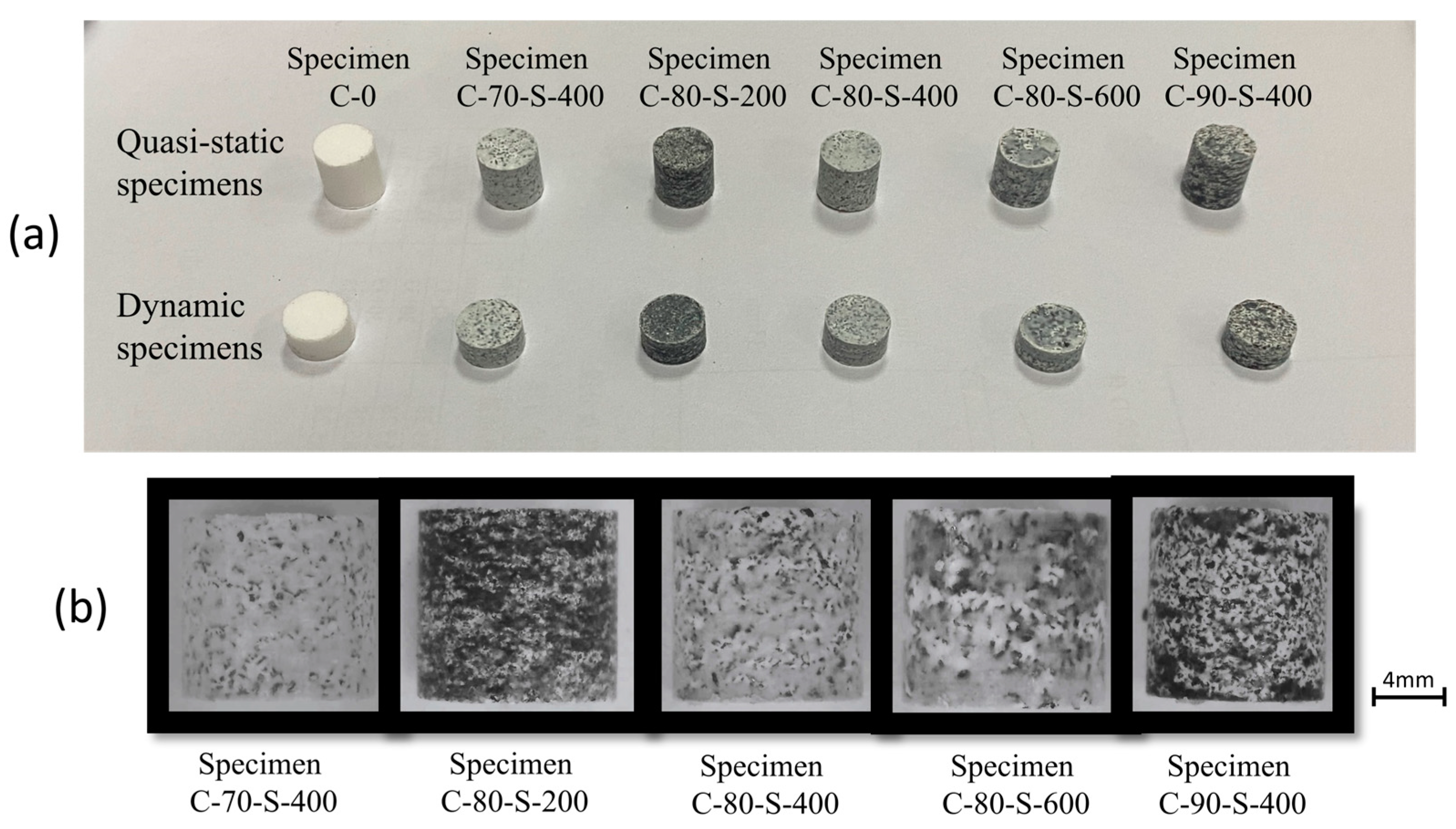Polymers 17 00323 g004