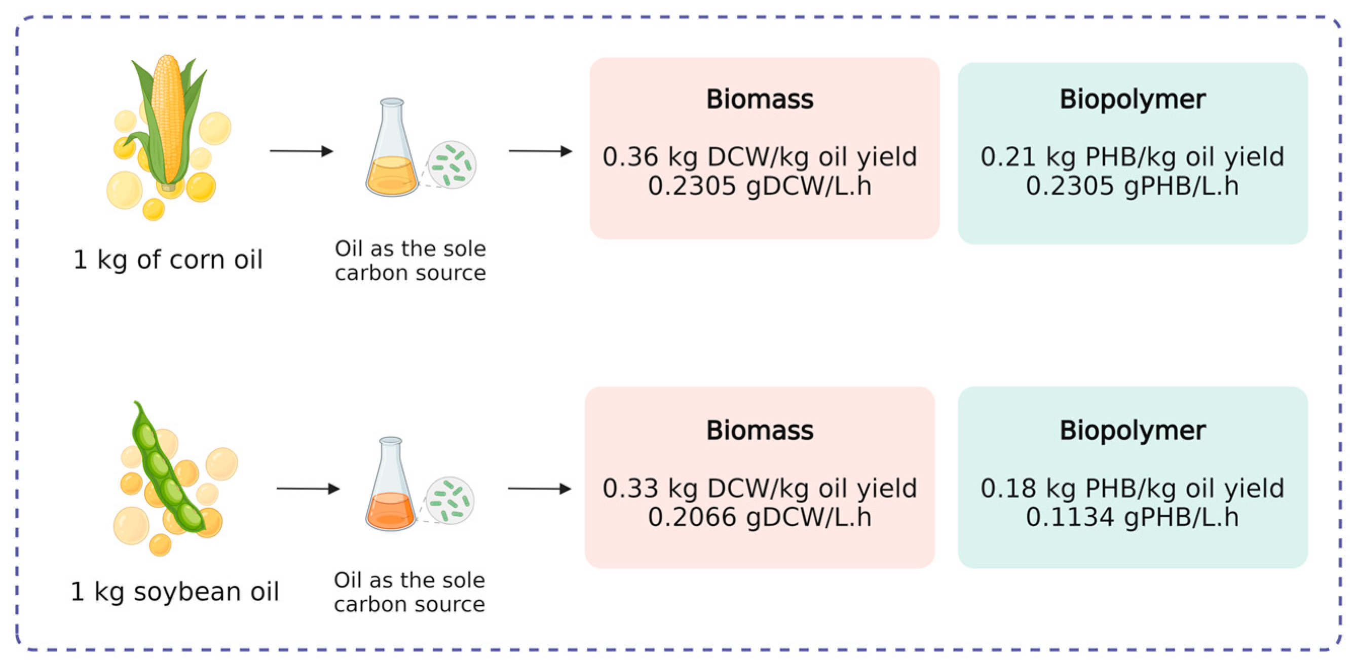 Polymers 17 00324 g003