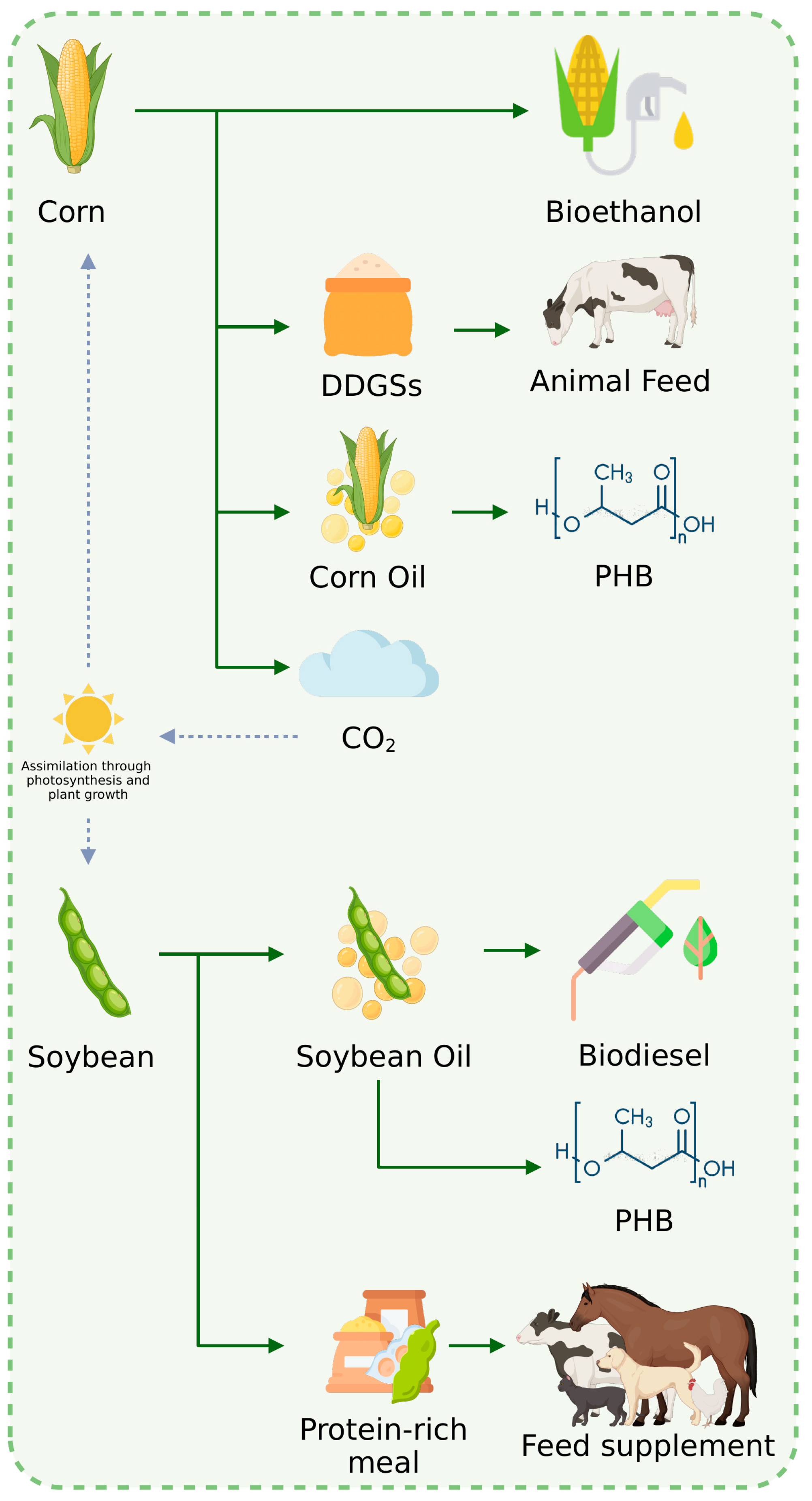 Polymers 17 00324 g004