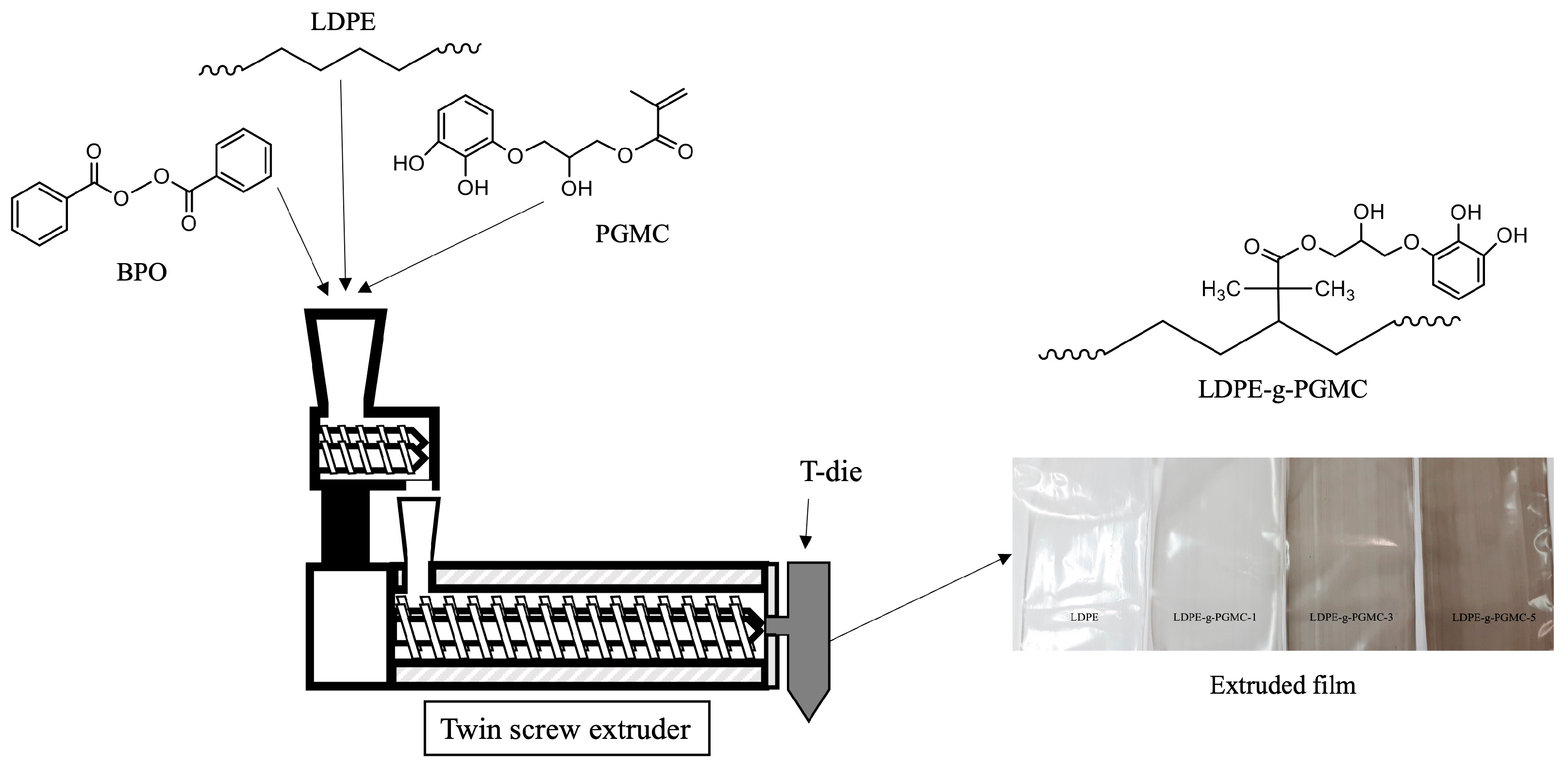 Polymers 17 00325 g001