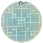 Polymers 17 00325 i007