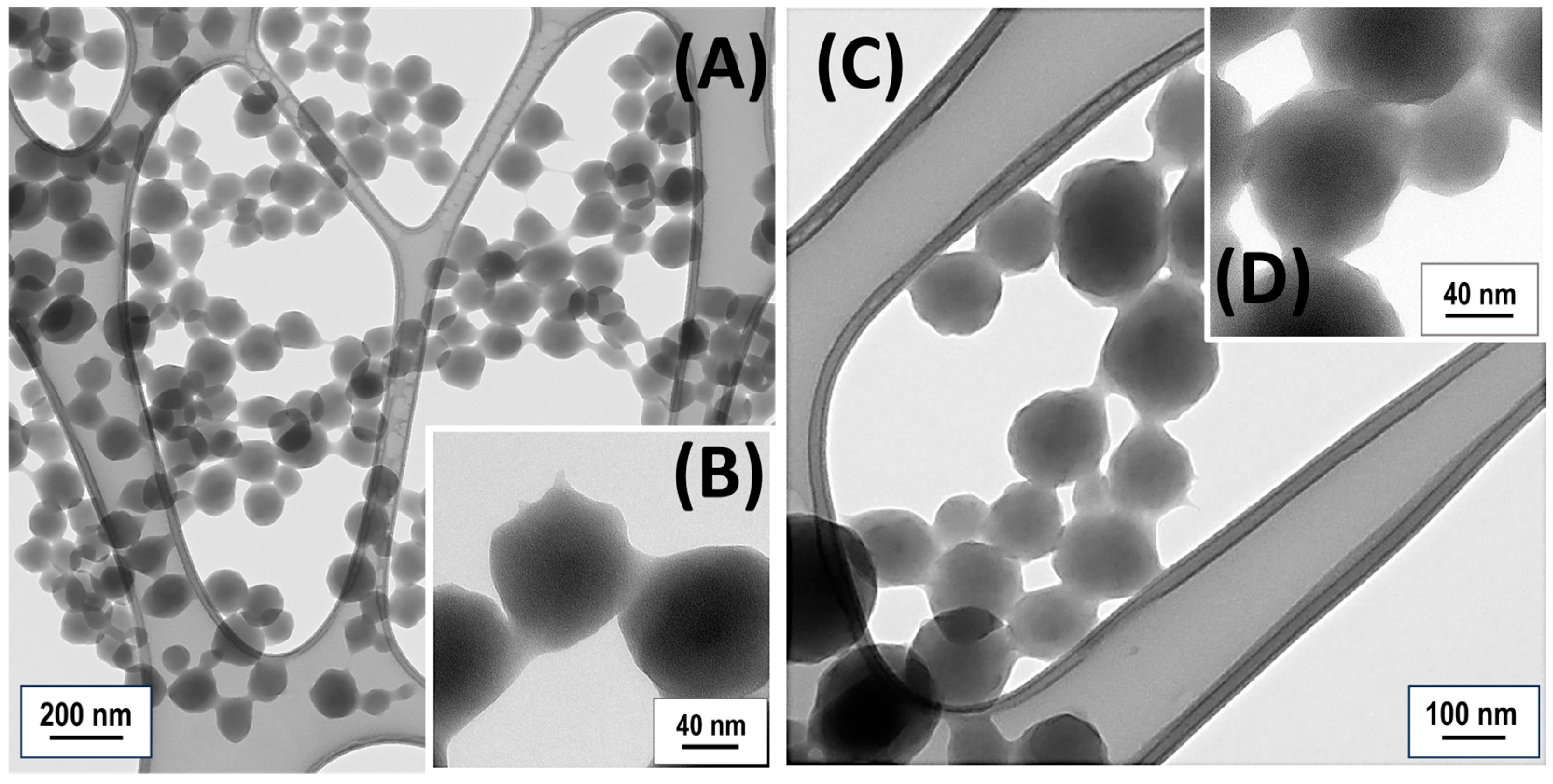 Polymers 17 00326 g002