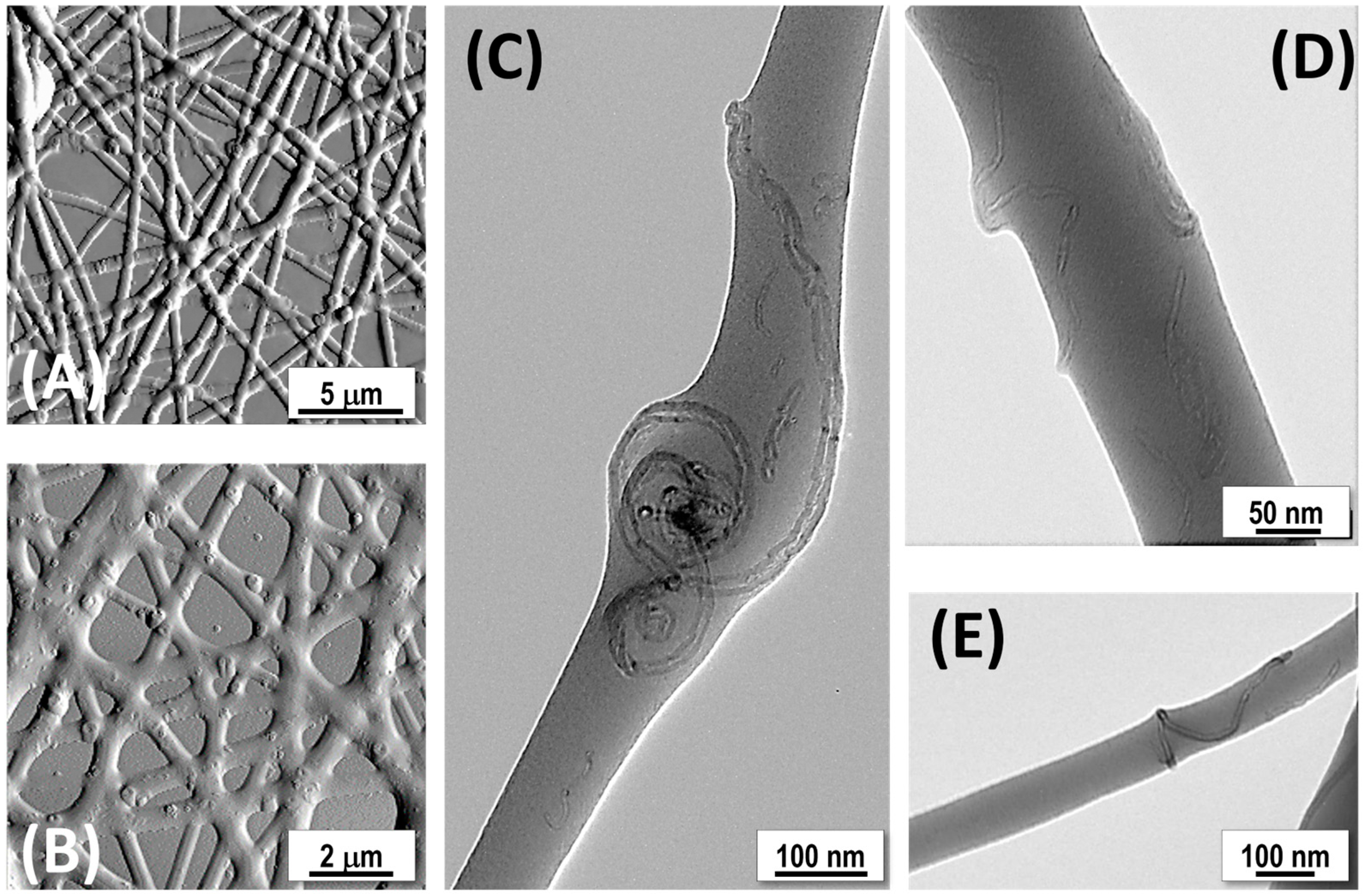 Polymers 17 00326 g005