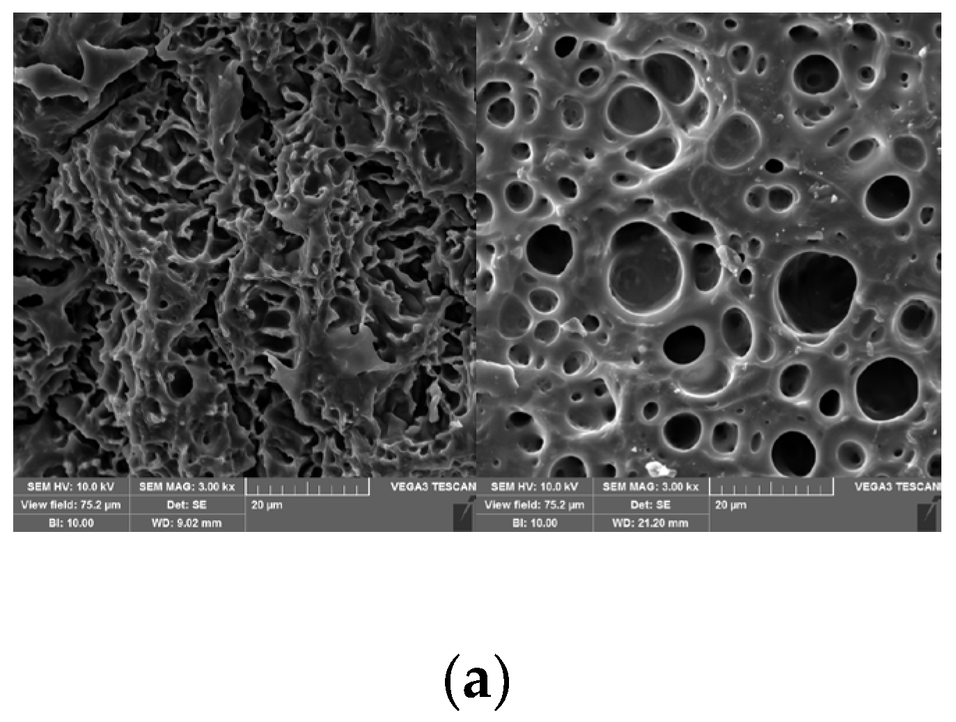 Polymers 17 00327 g002a
