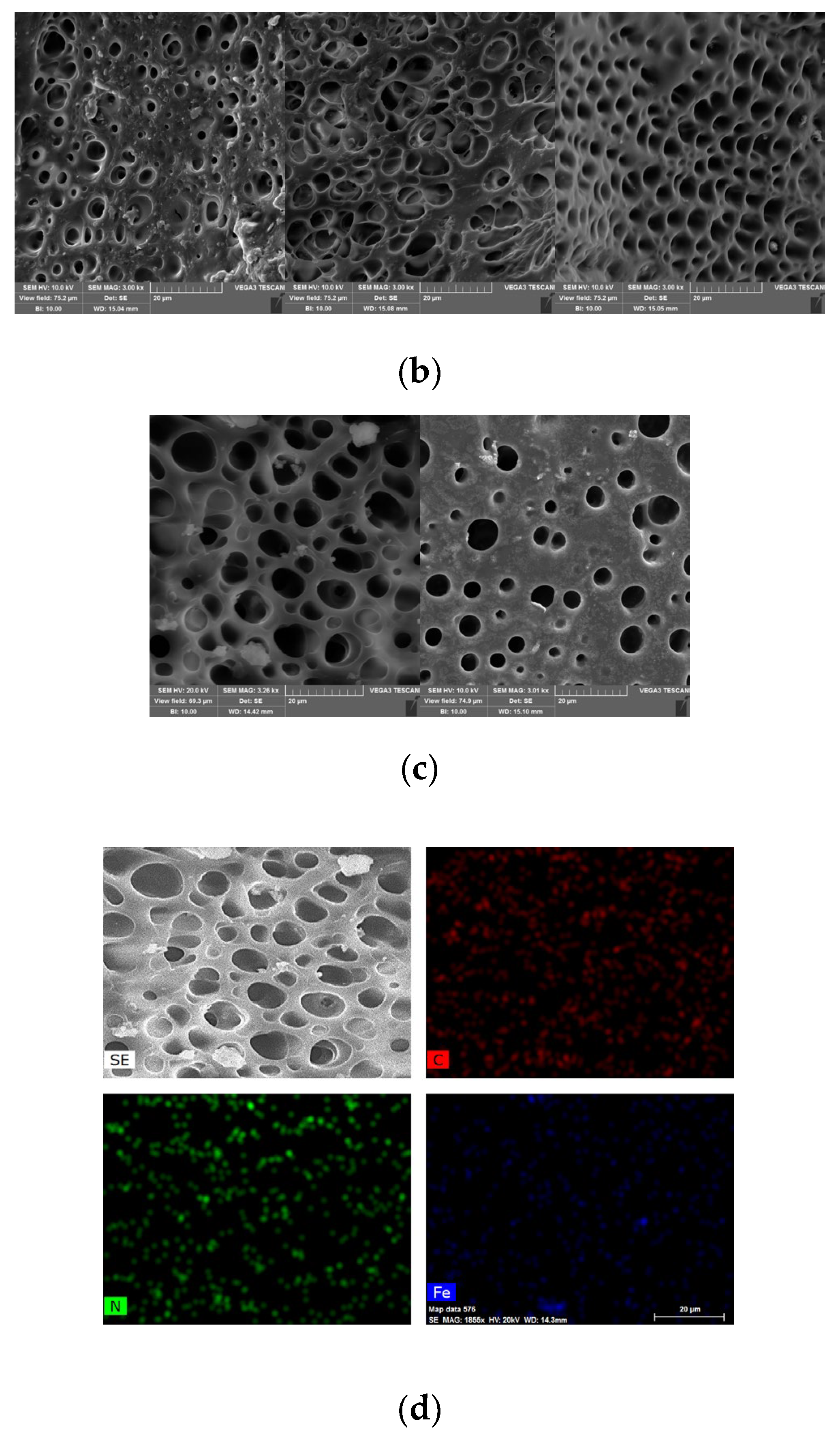 Polymers 17 00327 g002b