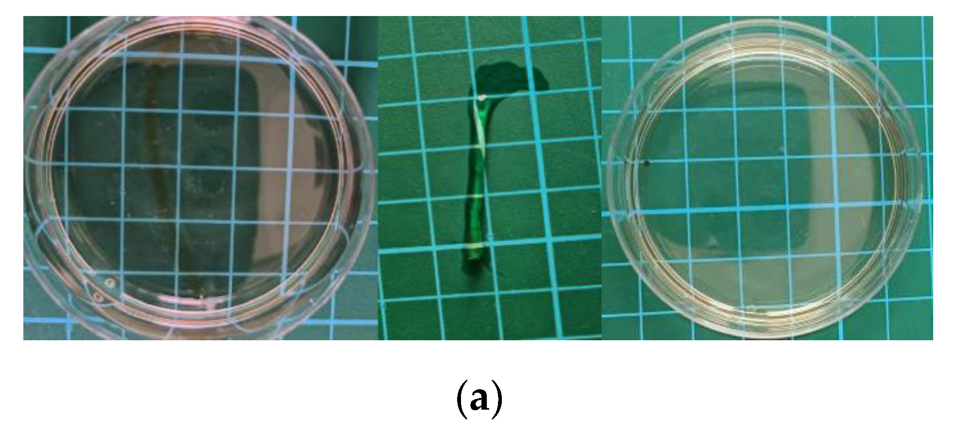 Polymers 17 00327 g007a