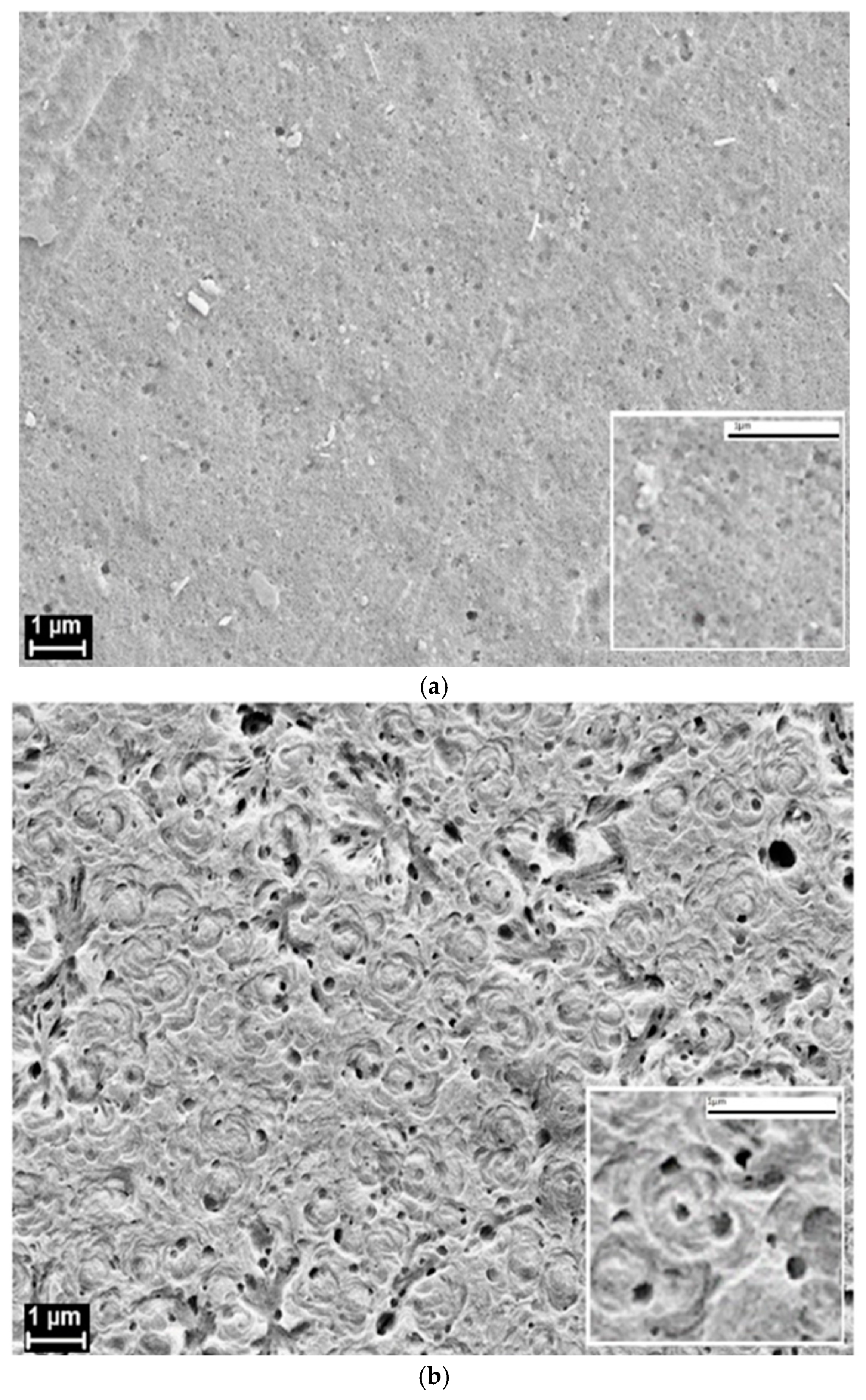 Polymers 17 00329 g004