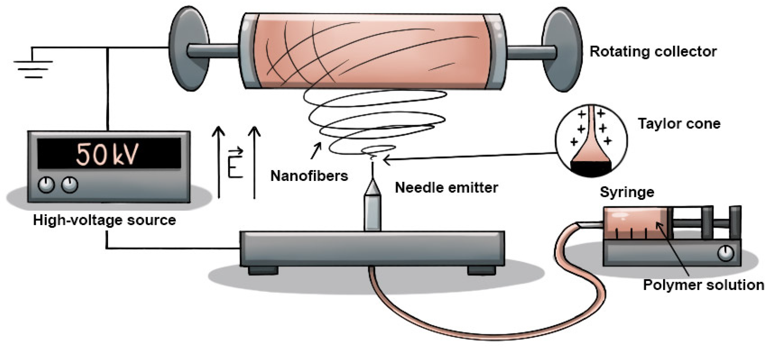 Polymers 17 00330 g001