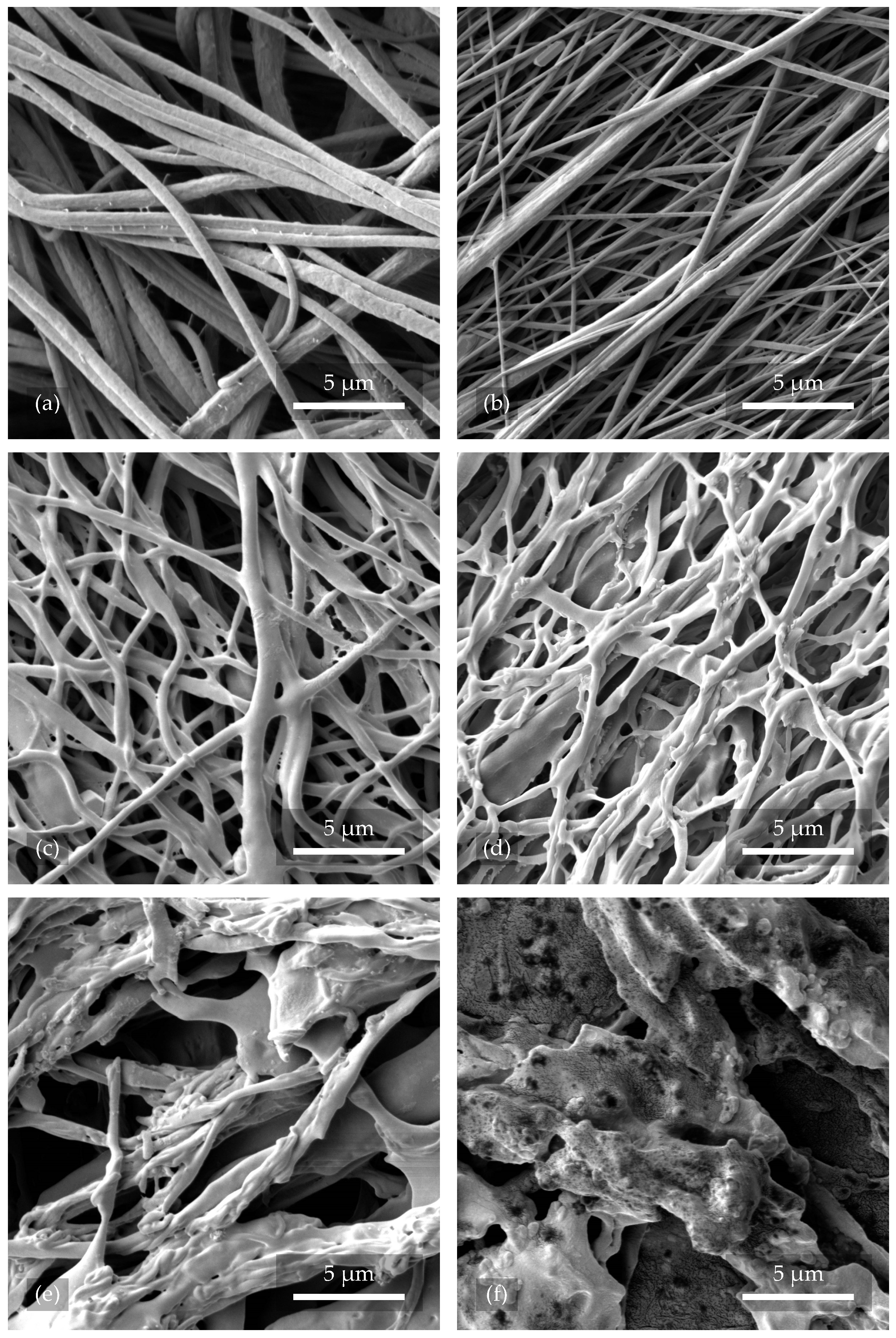 Polymers 17 00330 g003