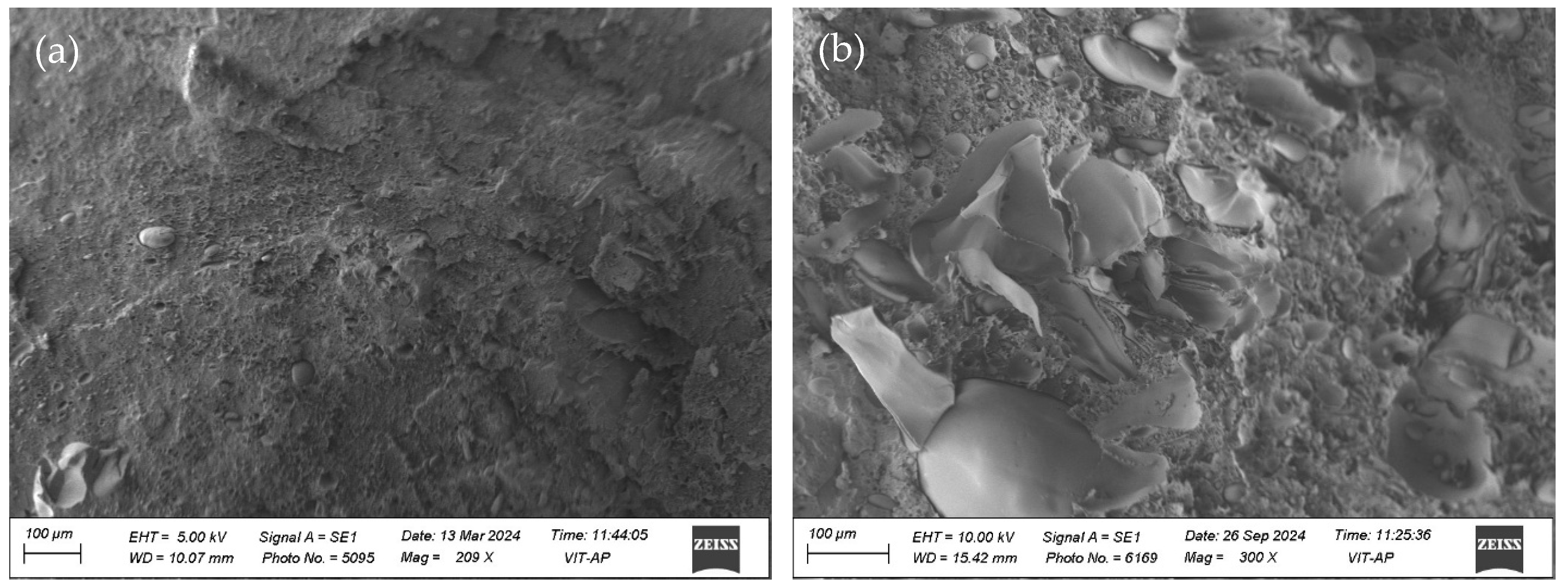 Polymers 17 00338 g002