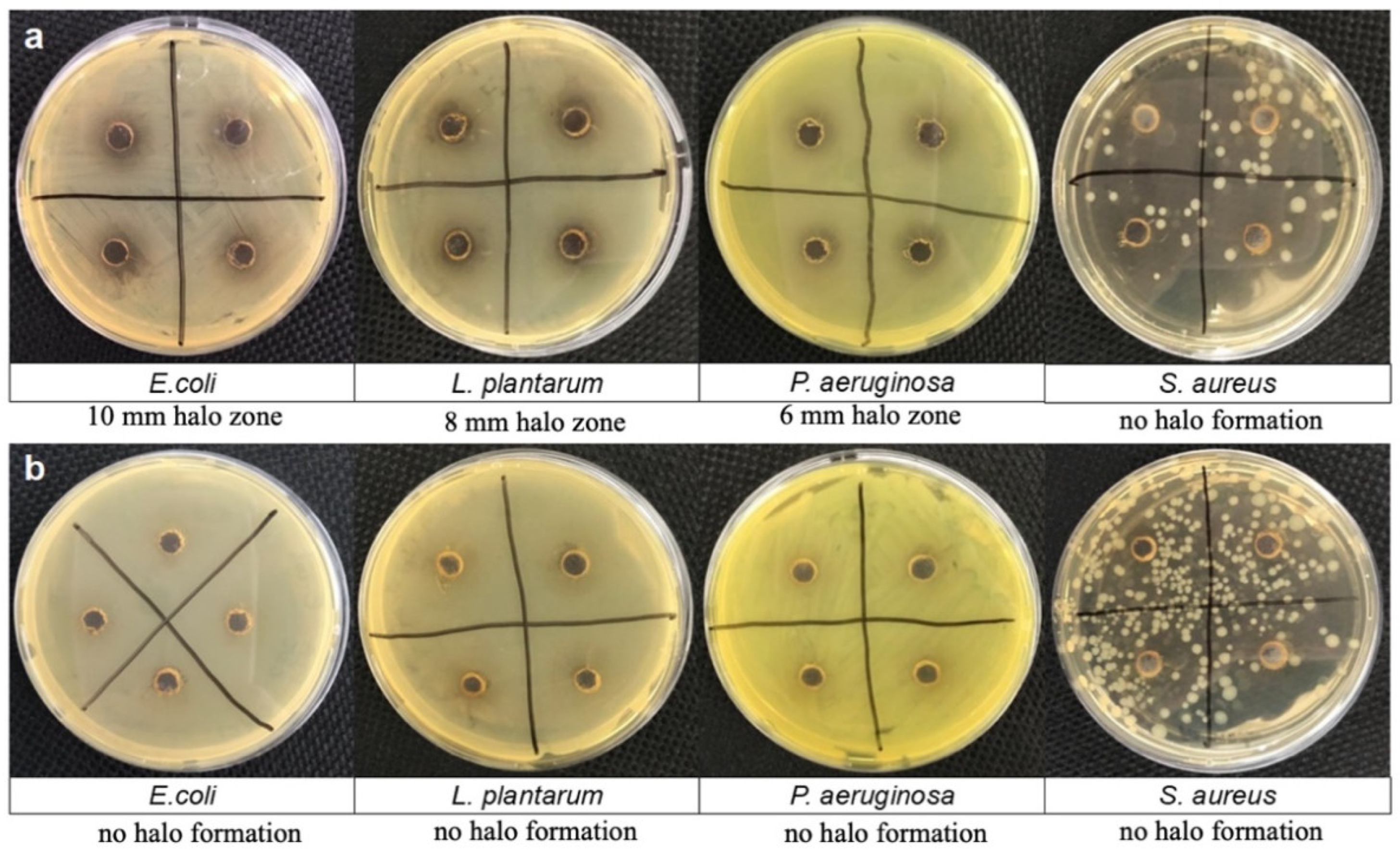 Polymers 17 00345 g005