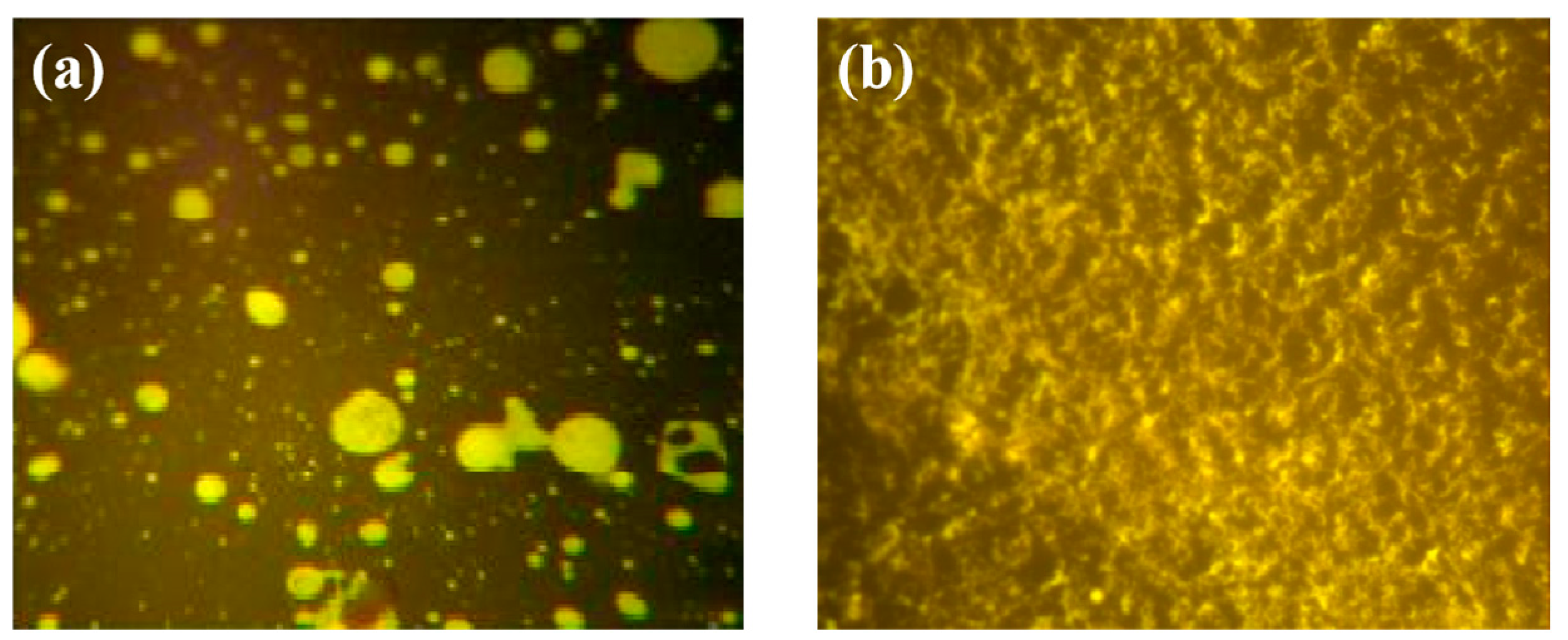 Polymers 17 00346 g008
