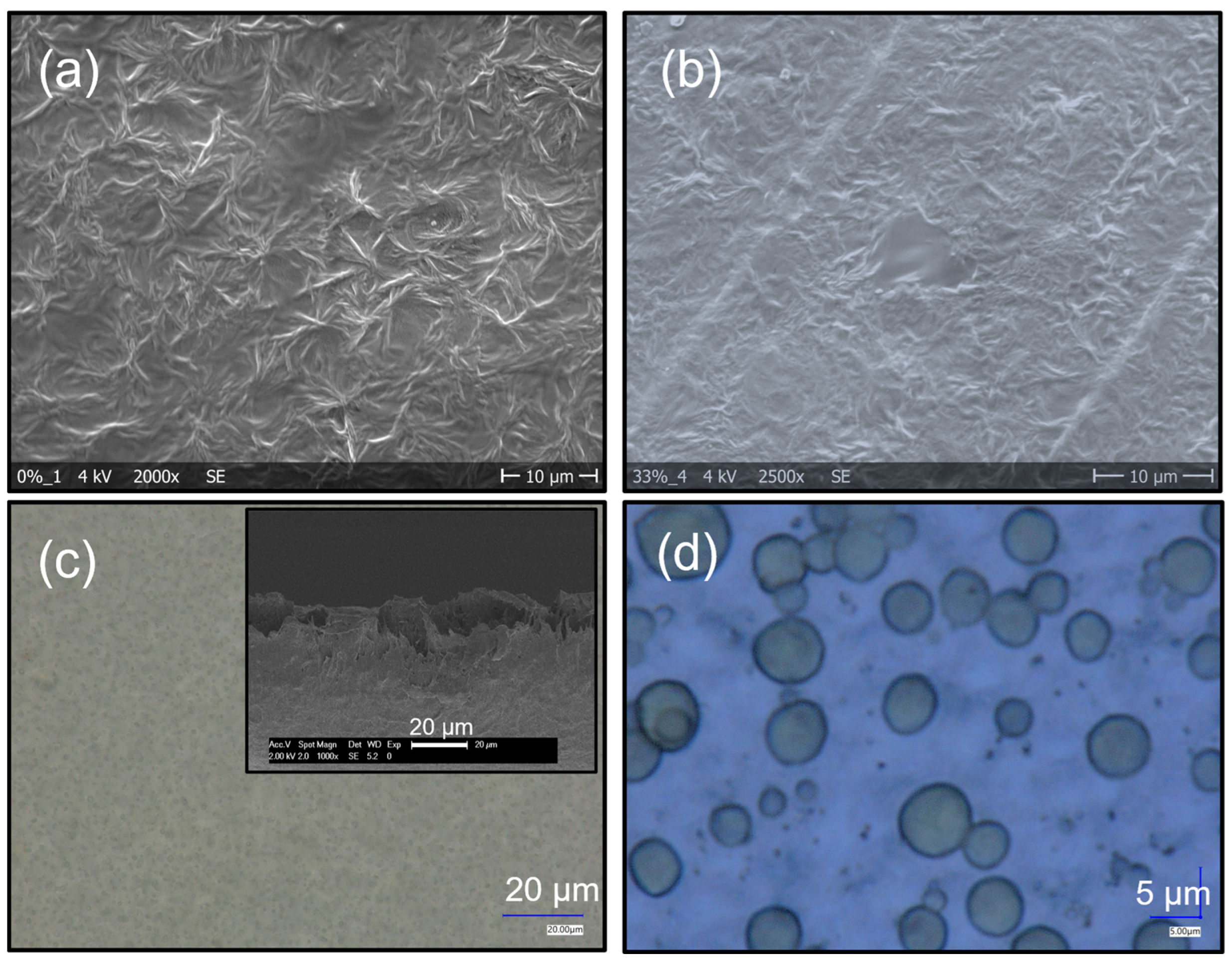 Polymers 17 00354 g001