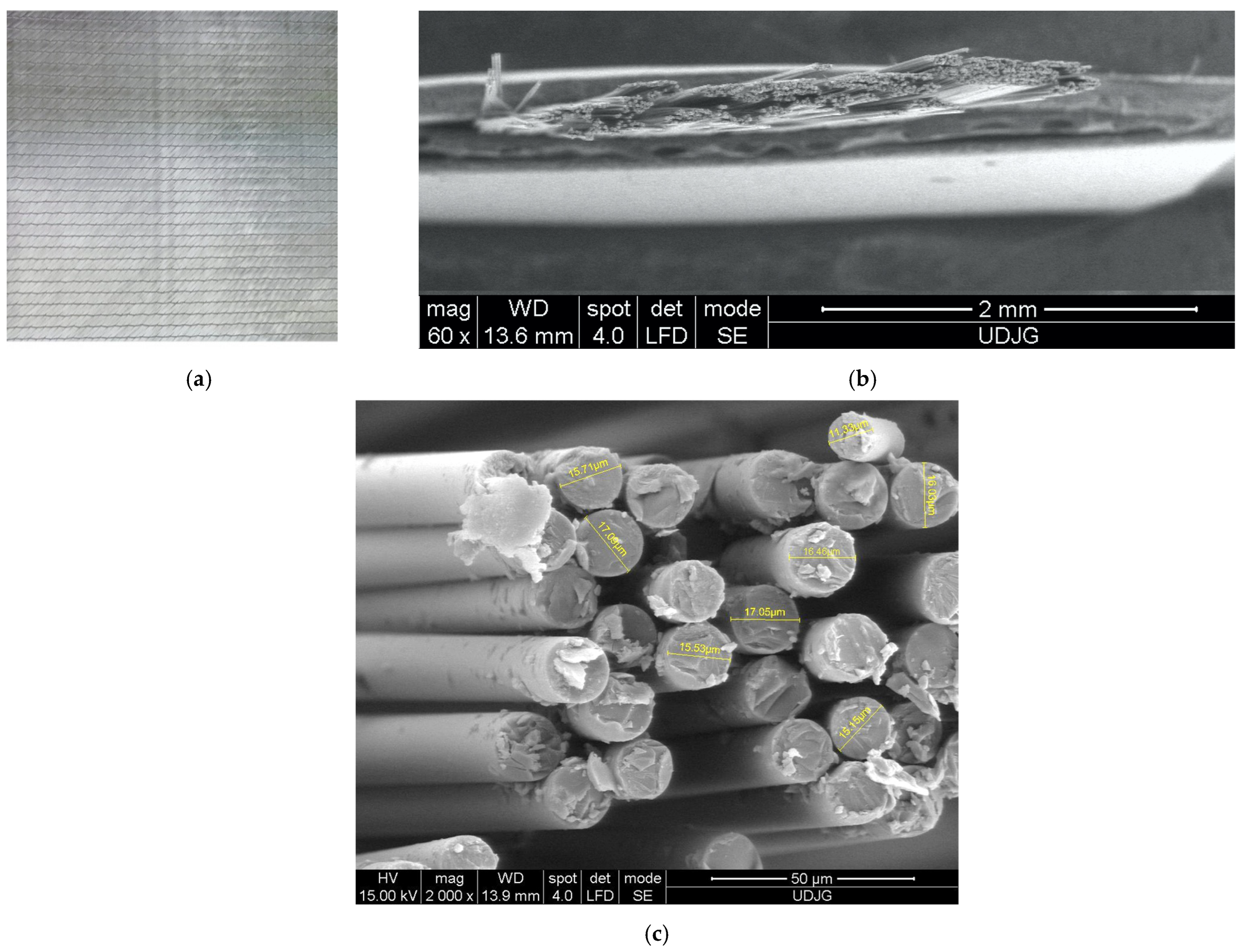 Polymers 17 00355 g001