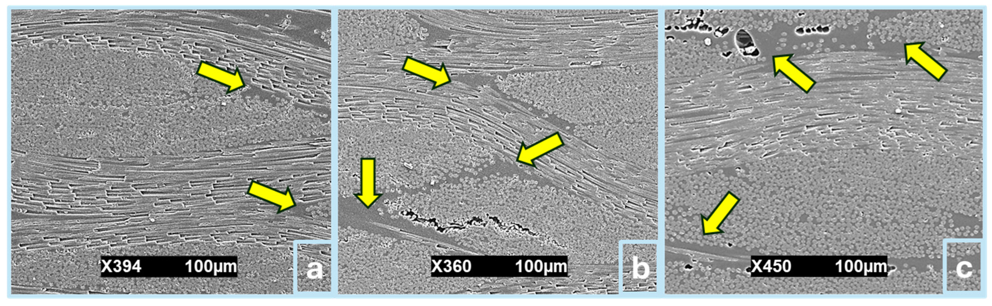 Polymers 17 00357 g008