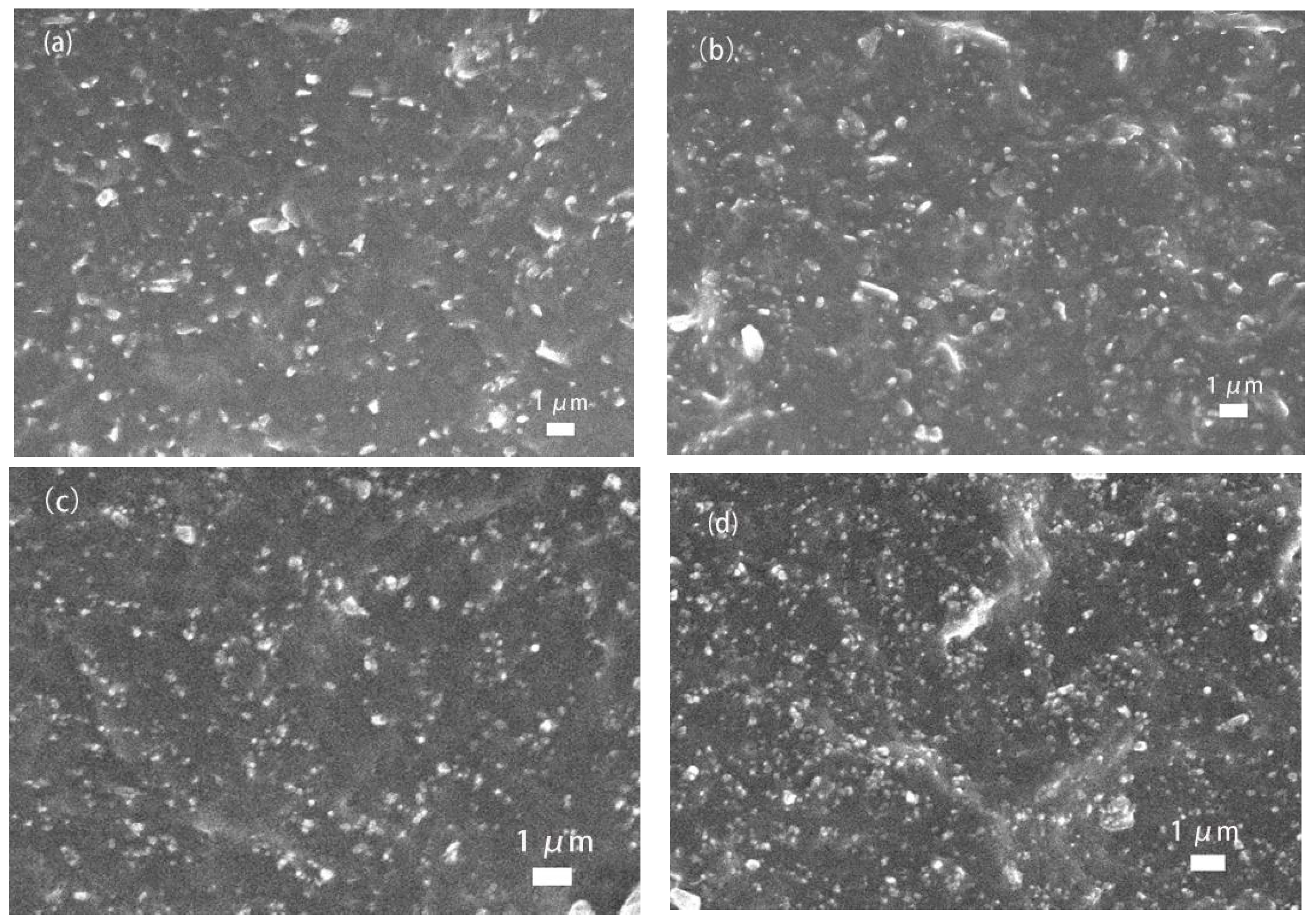 Polymers 17 00358 g006