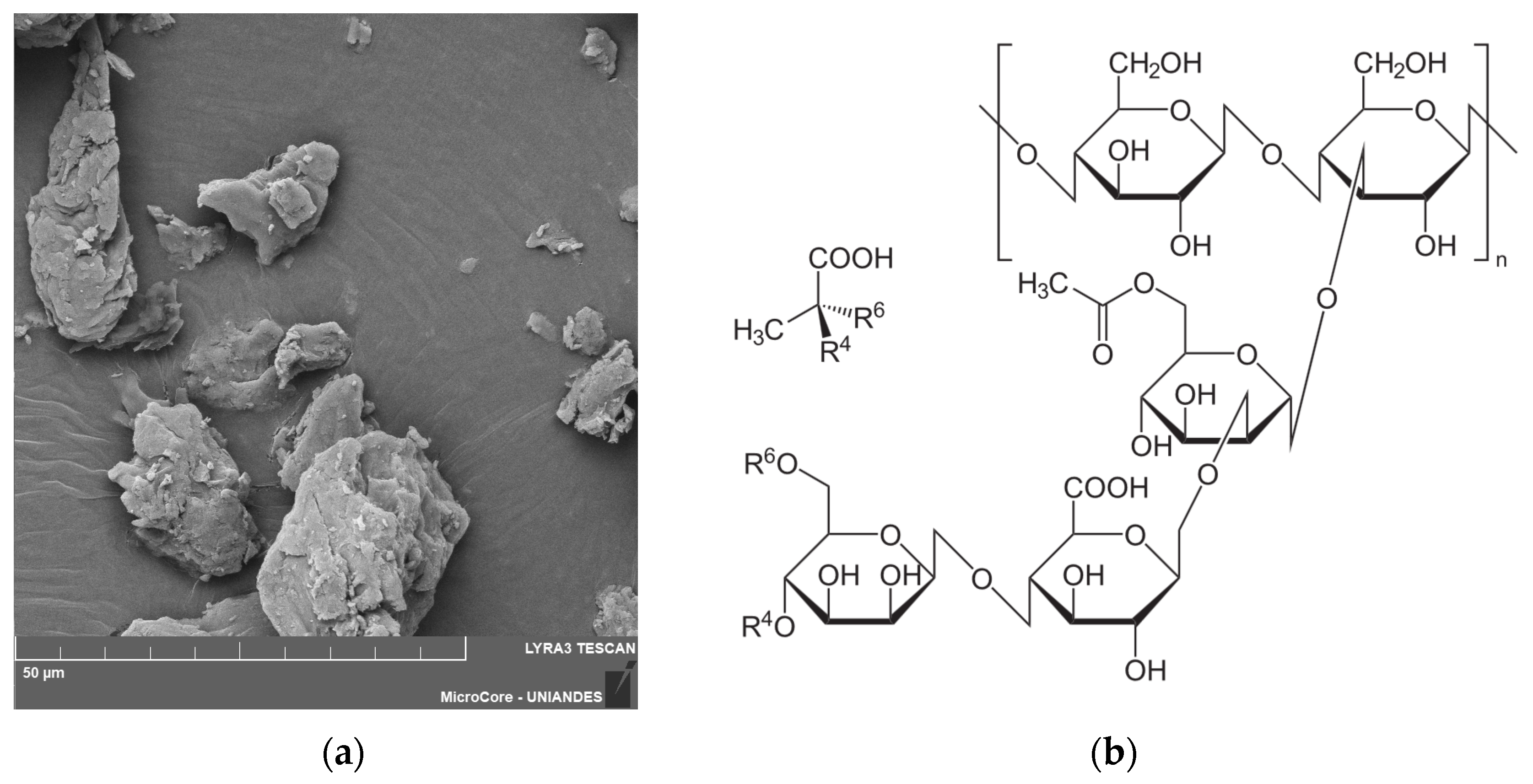 Polymers 17 00363 g003