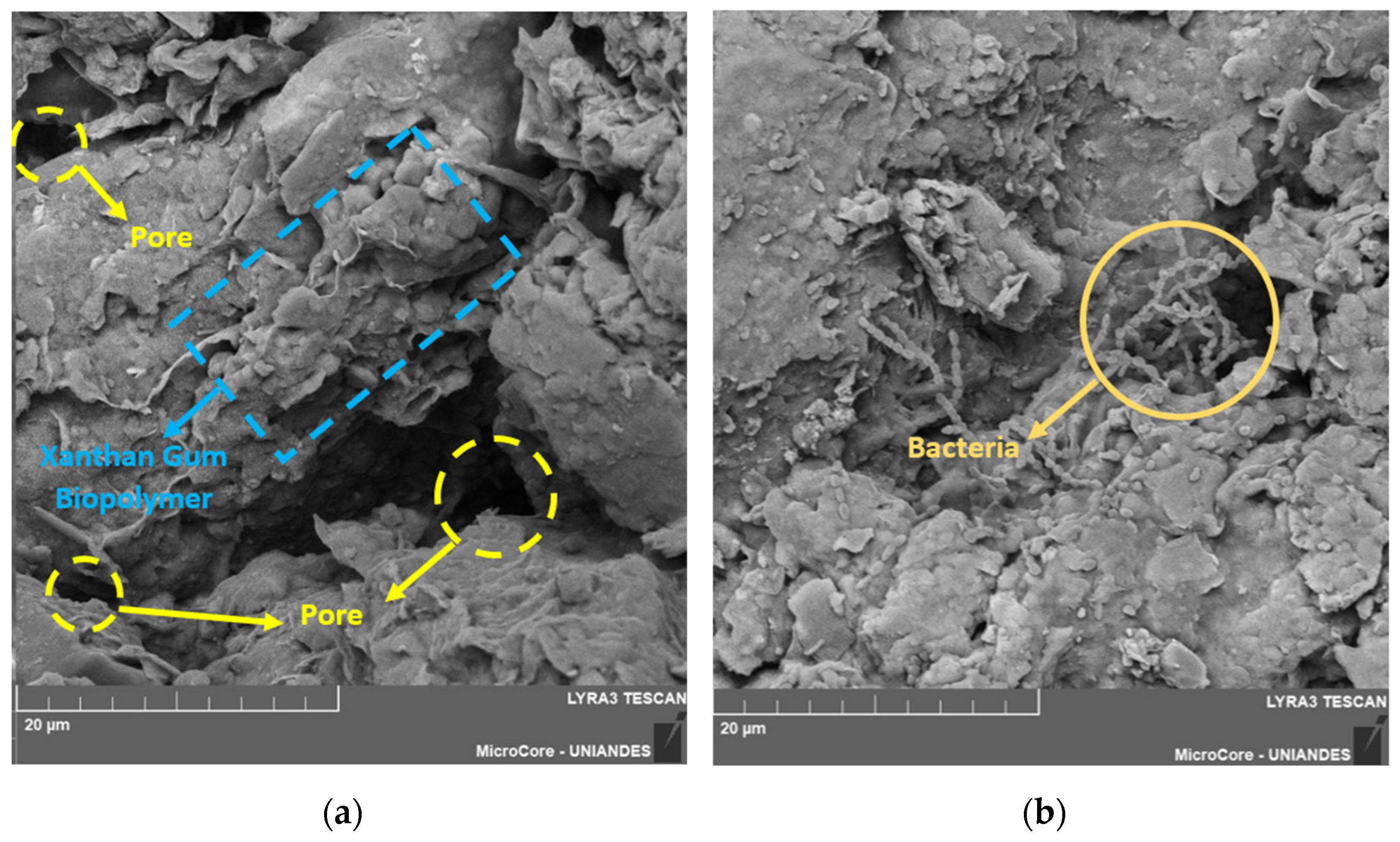 Polymers 17 00363 g015