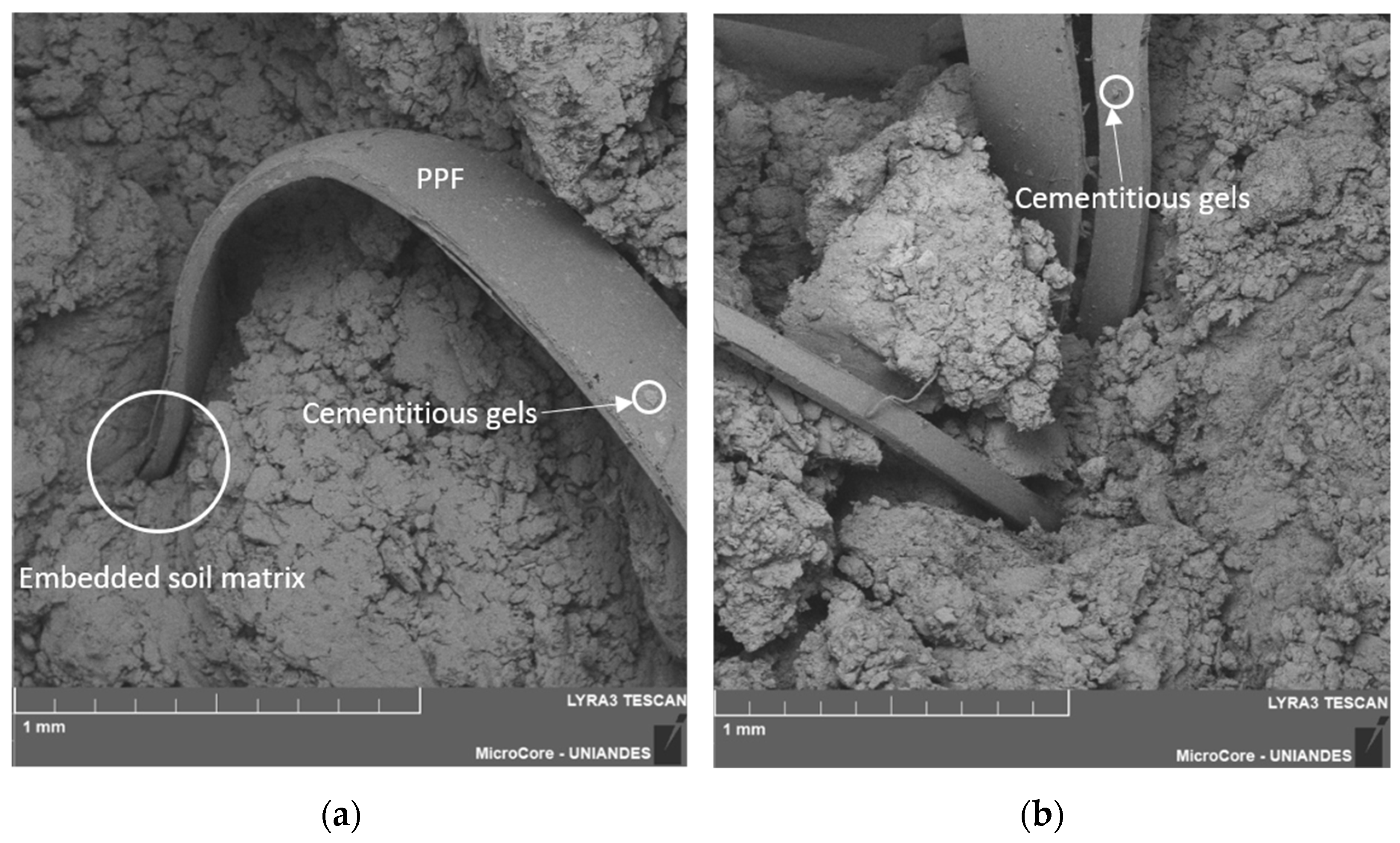 Polymers 17 00363 g016