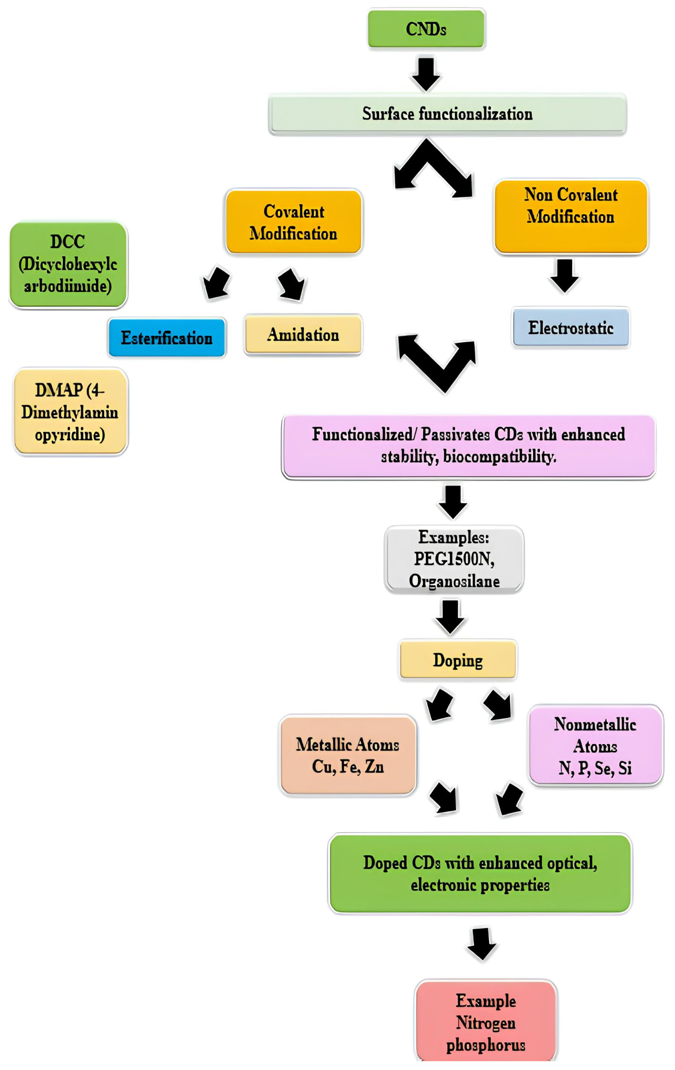 Polymers 17 00365 g003