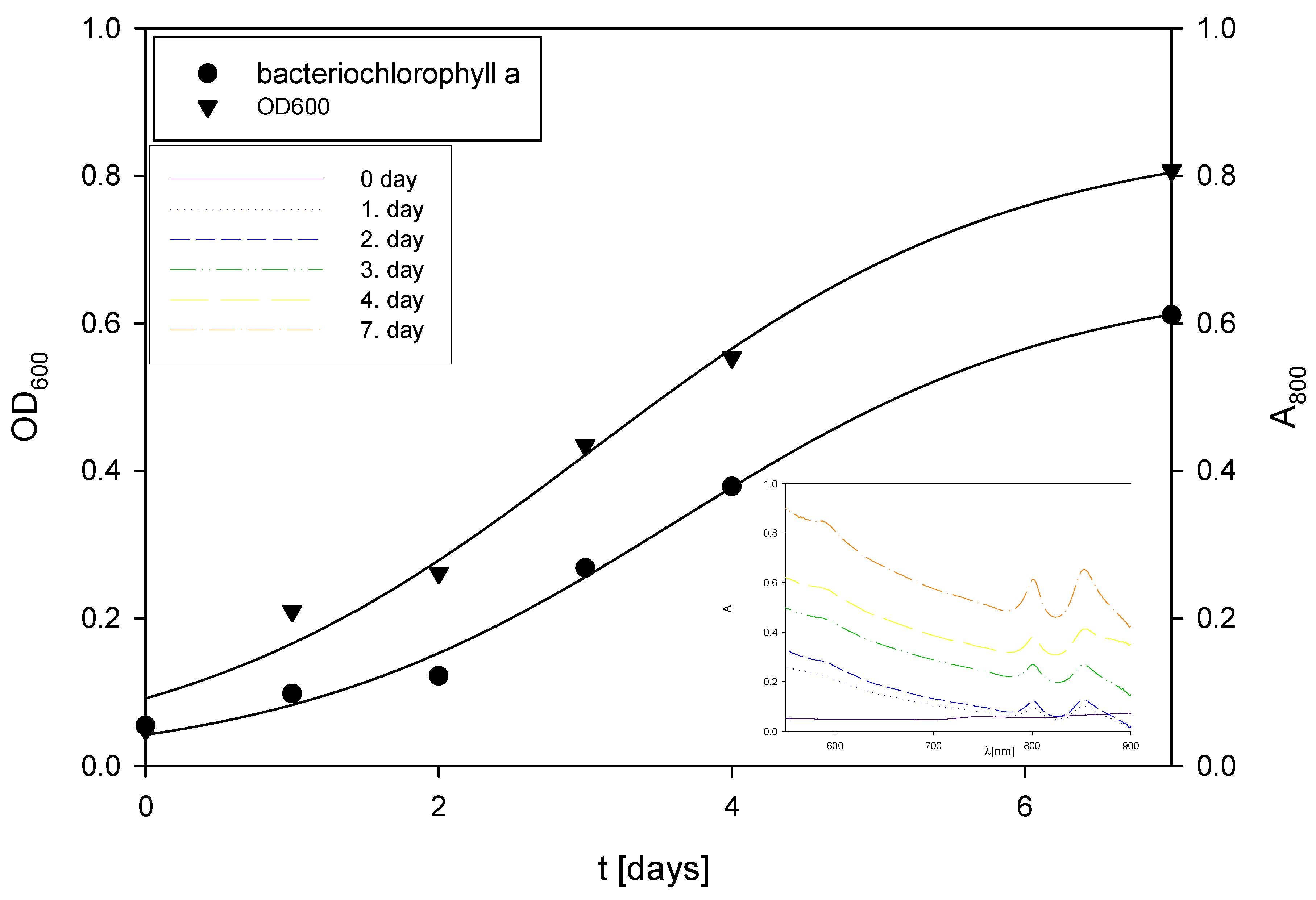 Polymers 17 00369 g005