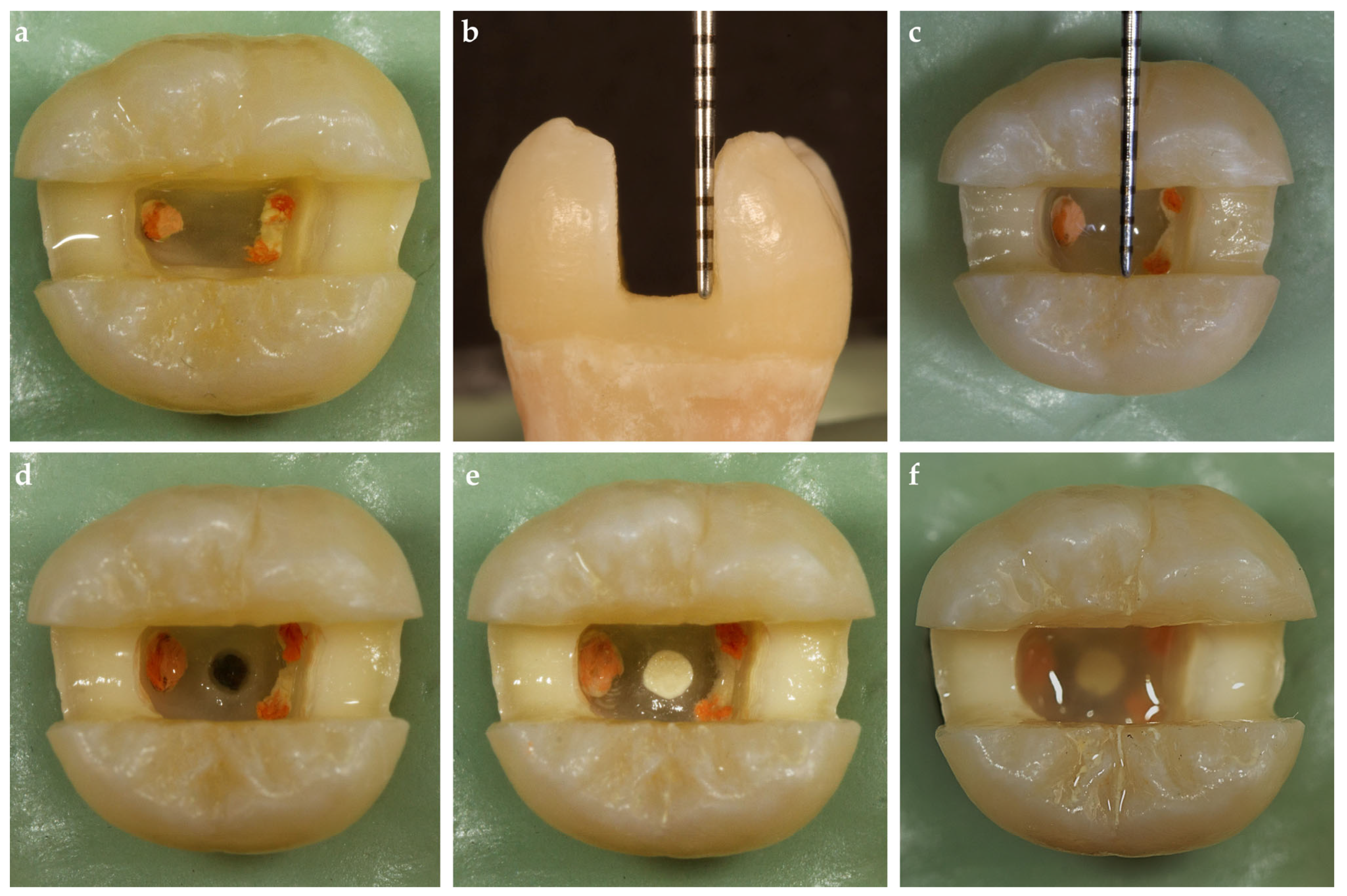 Polymers 17 00370 g001