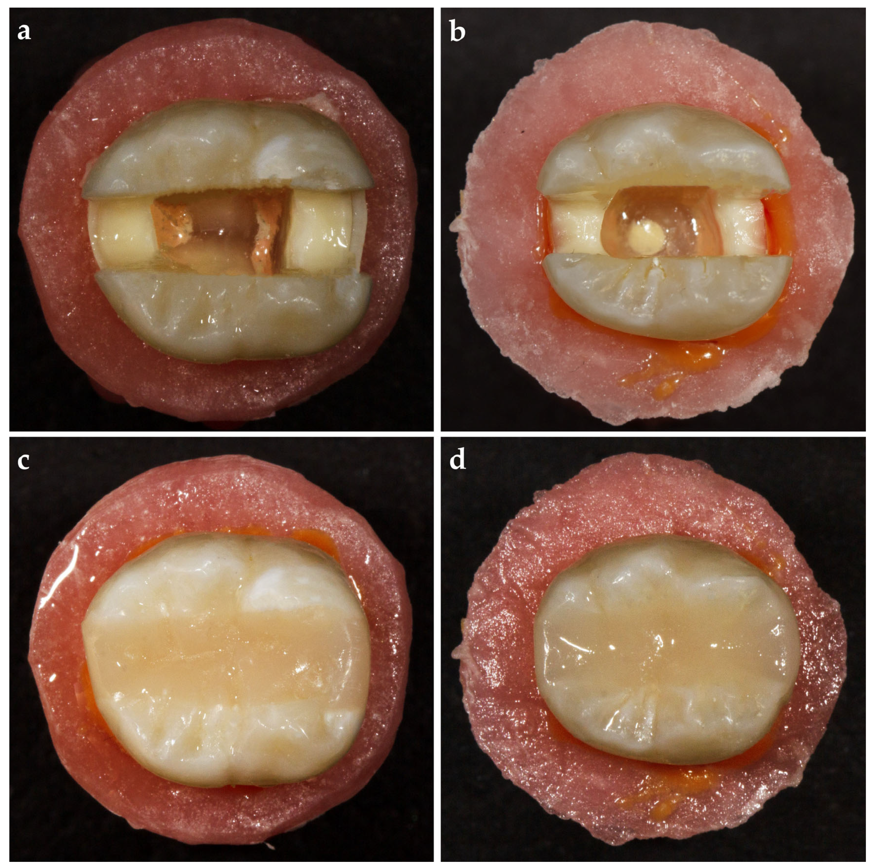 Polymers 17 00370 g002