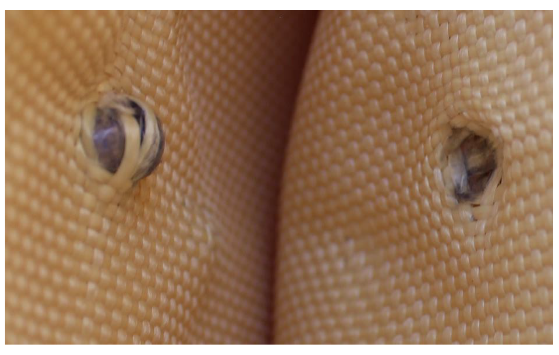 Polymers 17 00372 g023